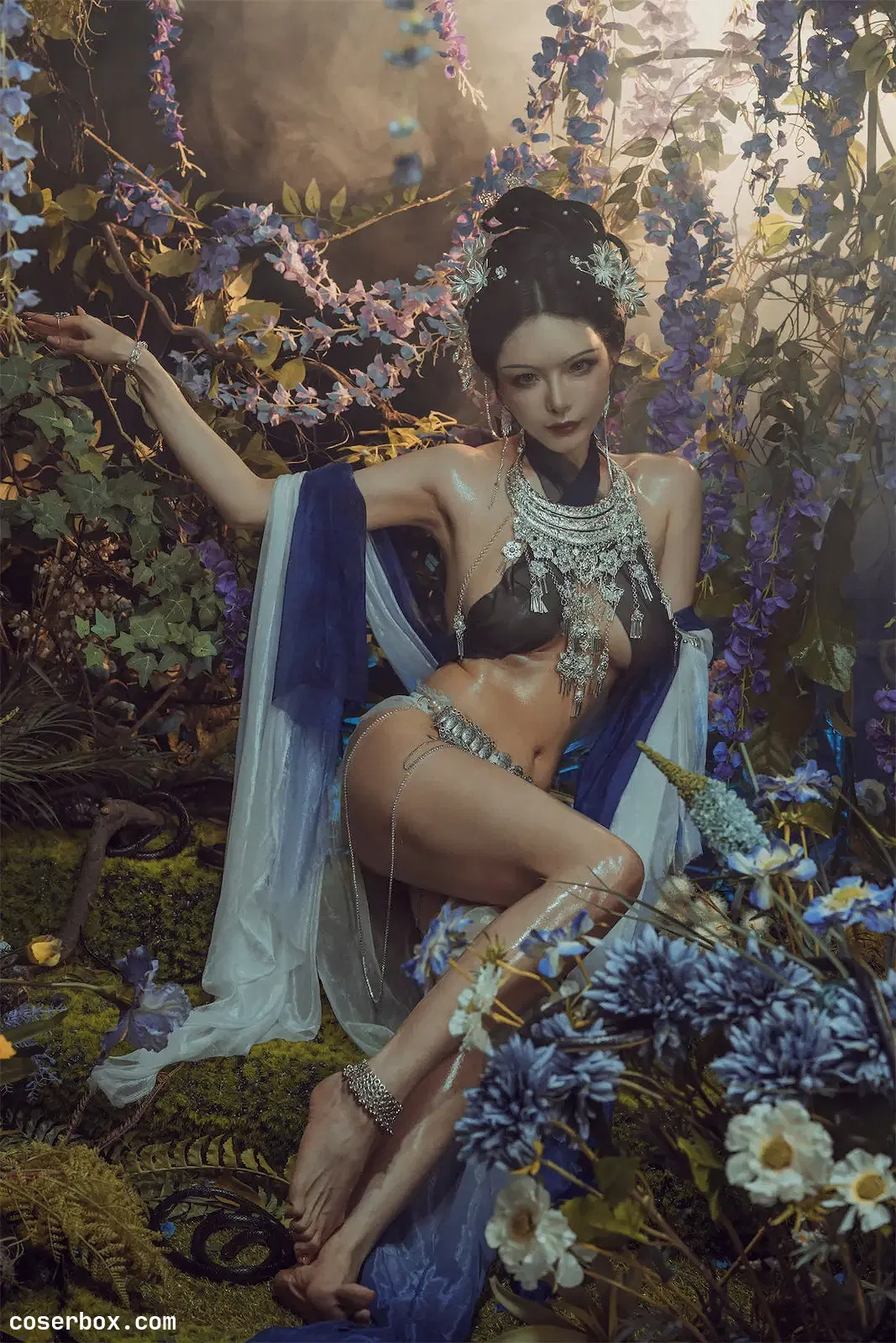 秋和柯基 NO.086 紫 - 2