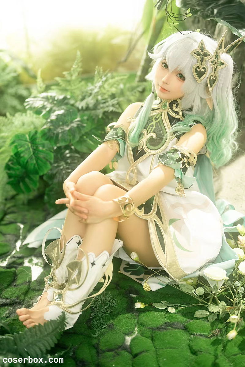 蠢沫沫 NO.215 大慈树王