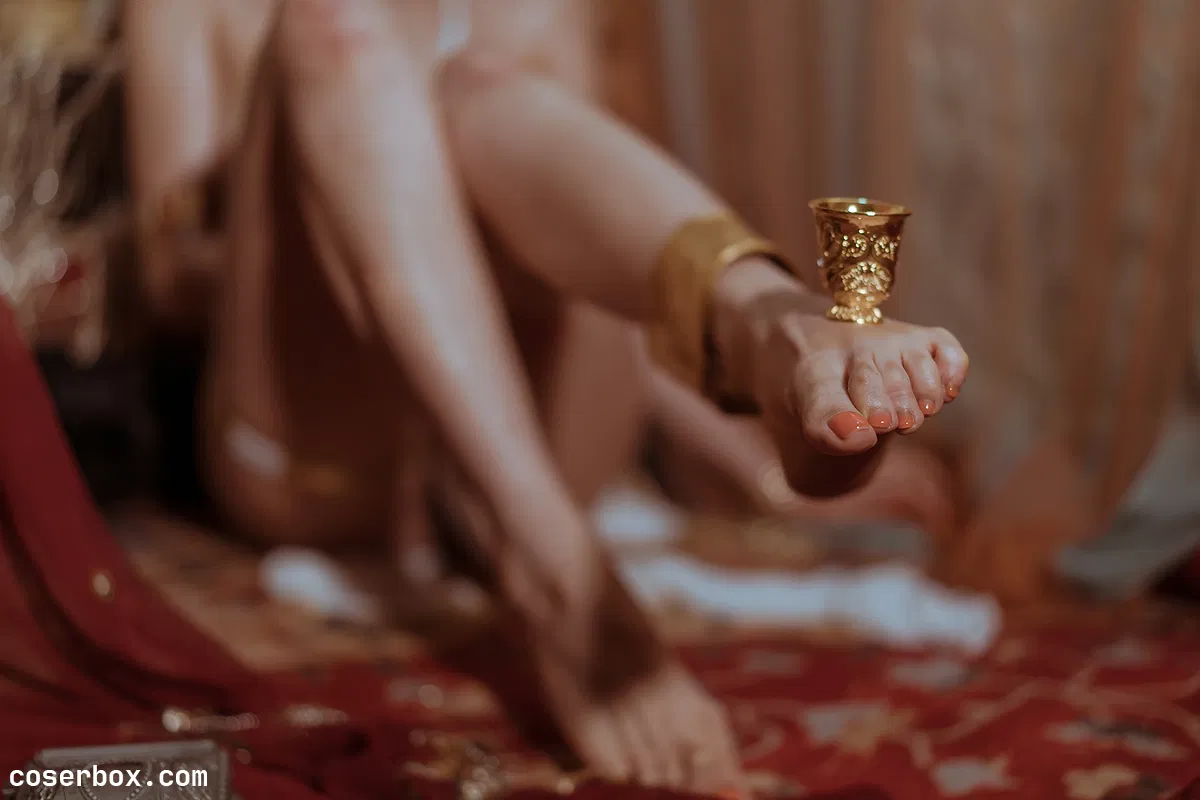 秋和柯基 NO.018 宫廷狼妖 - 1