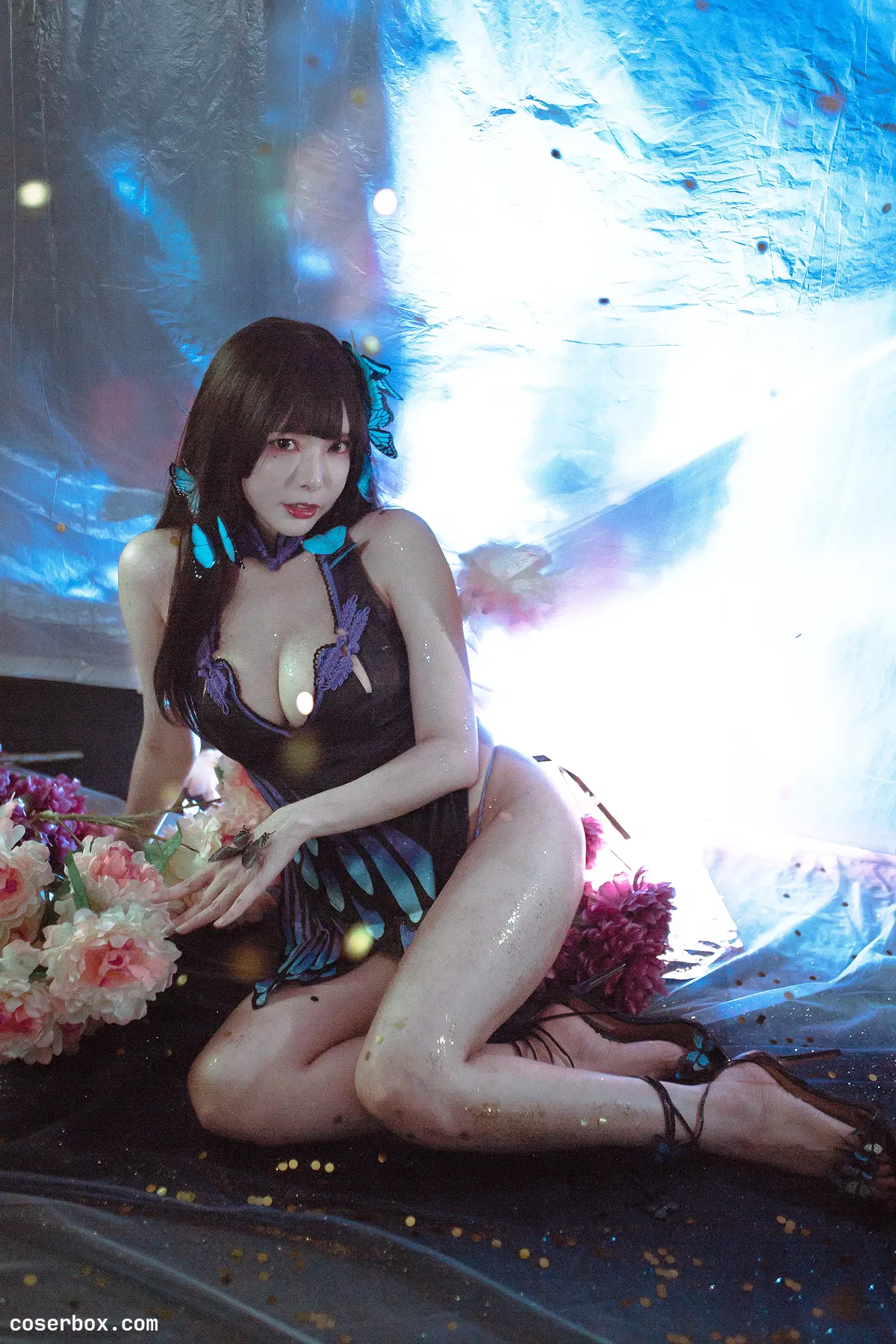 秋和柯基 NO.120 蝶 - 2