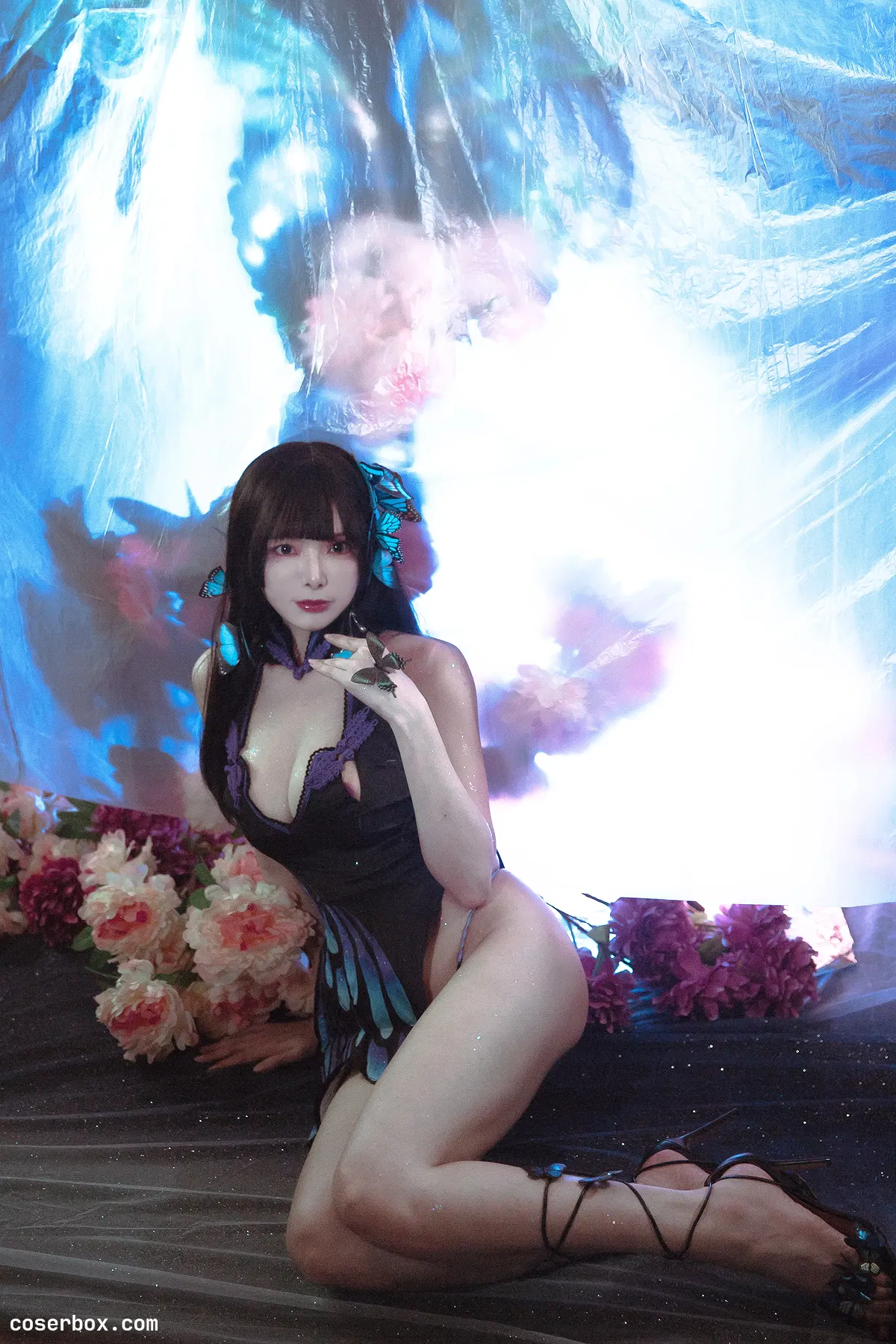 秋和柯基 NO.120 蝶 - 1