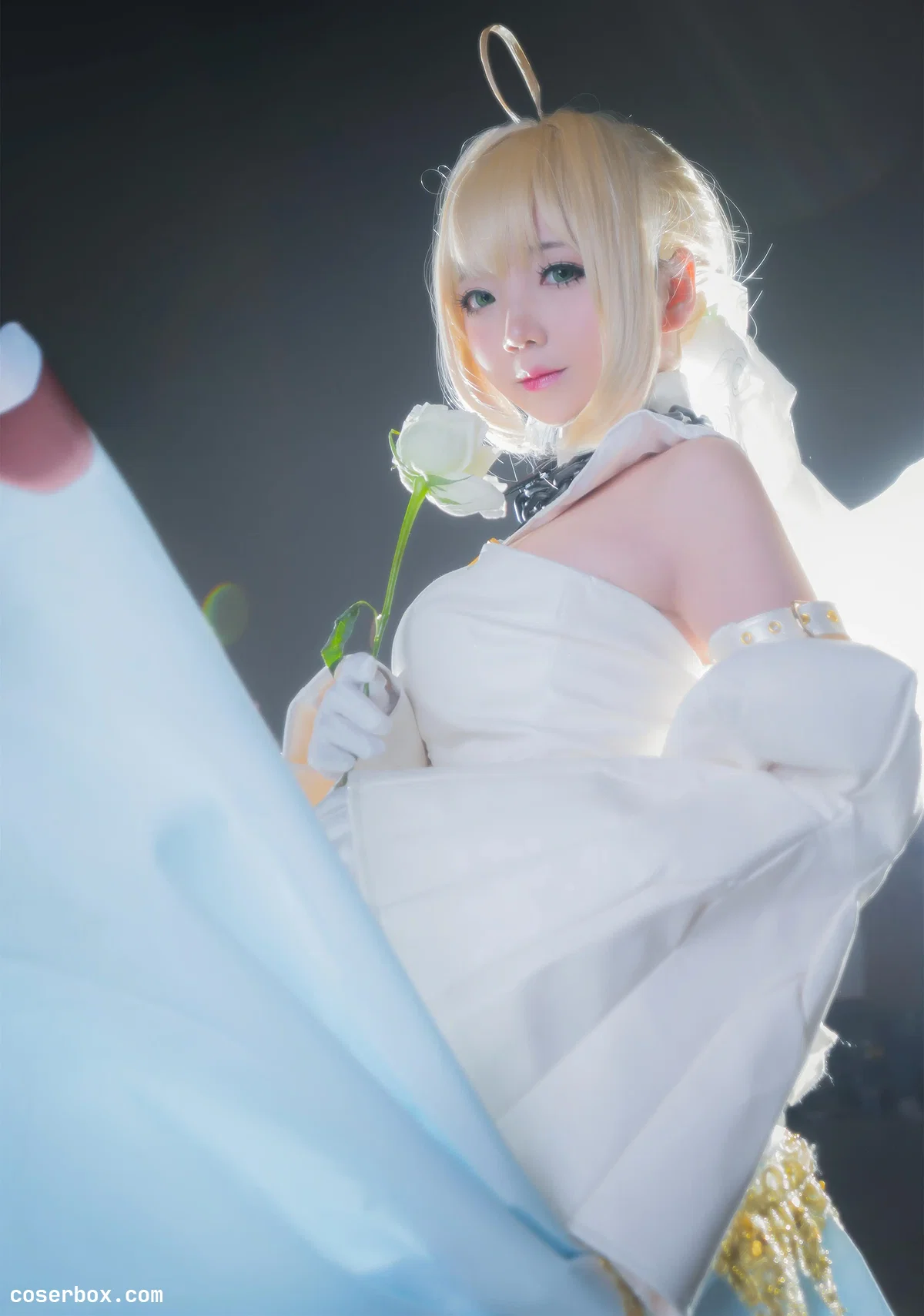 楚楚子w NO.083 COS-FATE GRAND ORDER COS花嫁尼禄 [8P 3.97MB] - 2