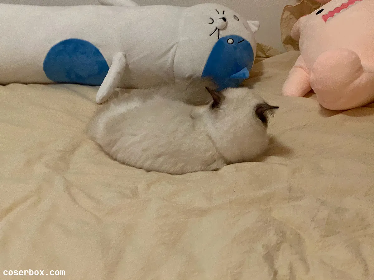 桜井宁宁（失眠冲剂）（樱井宁宁） NO.032微博配图 - 1