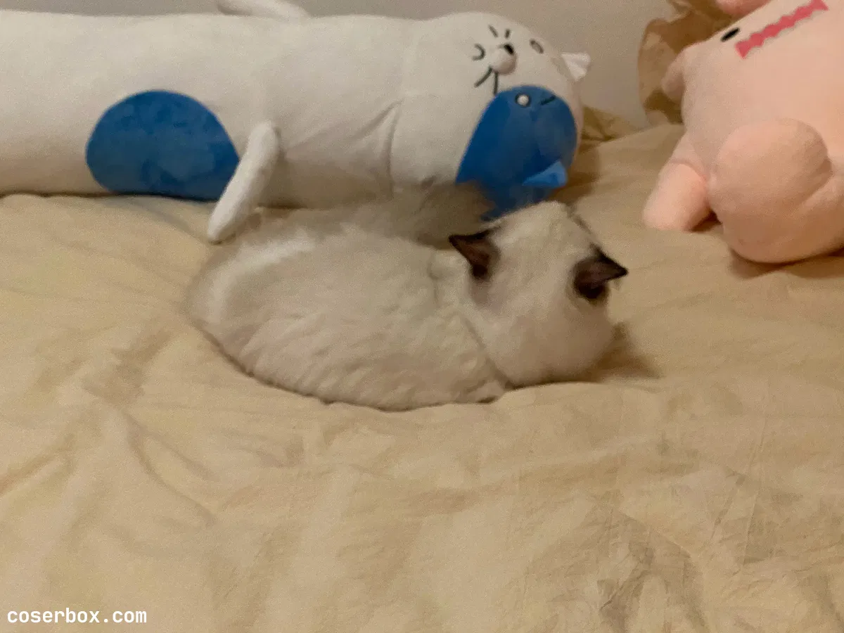 桜井宁宁（失眠冲剂）（樱井宁宁） NO.032微博配图 - 2