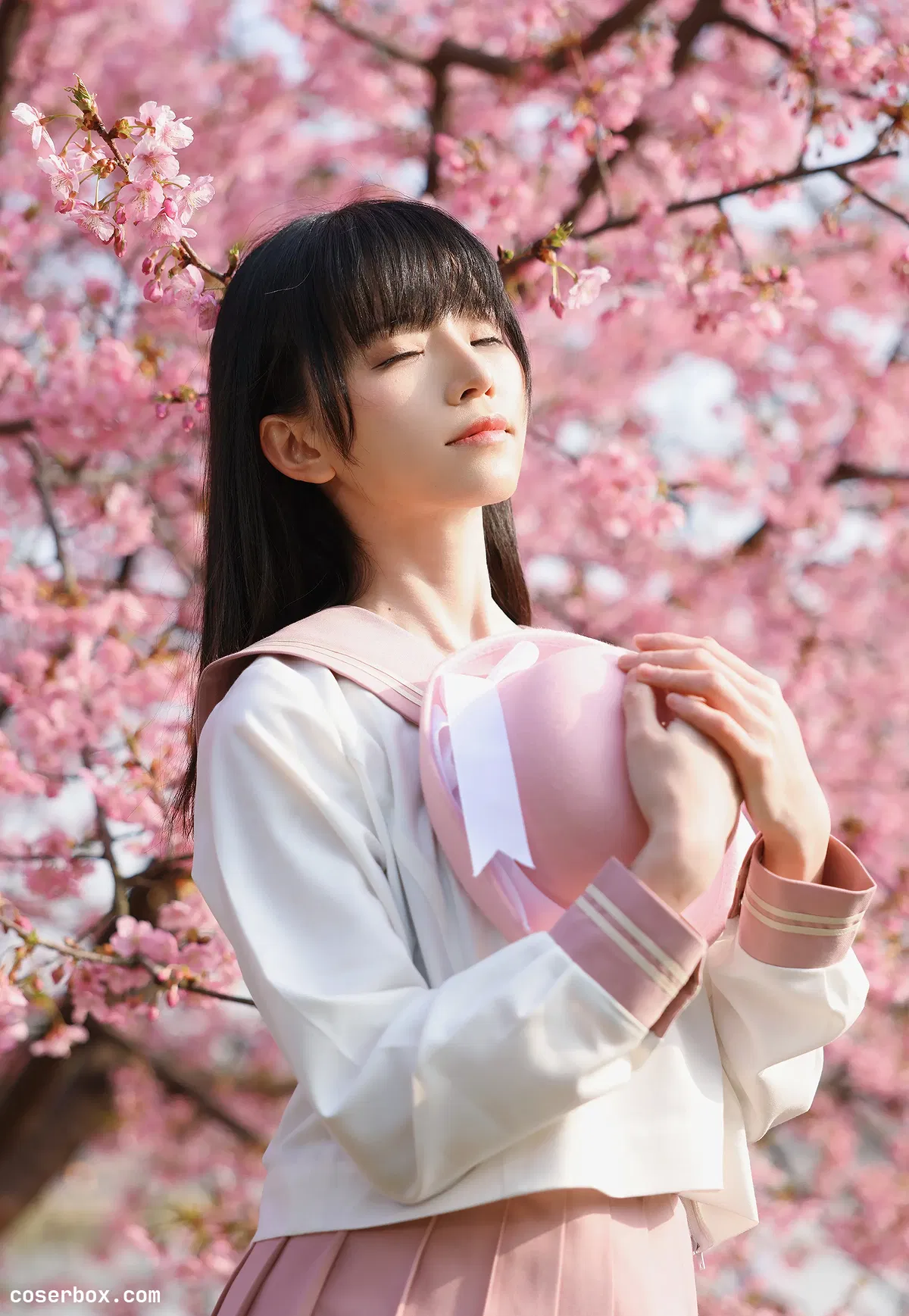 Kitaro_绮太郎 NO.109 樱花 - 2