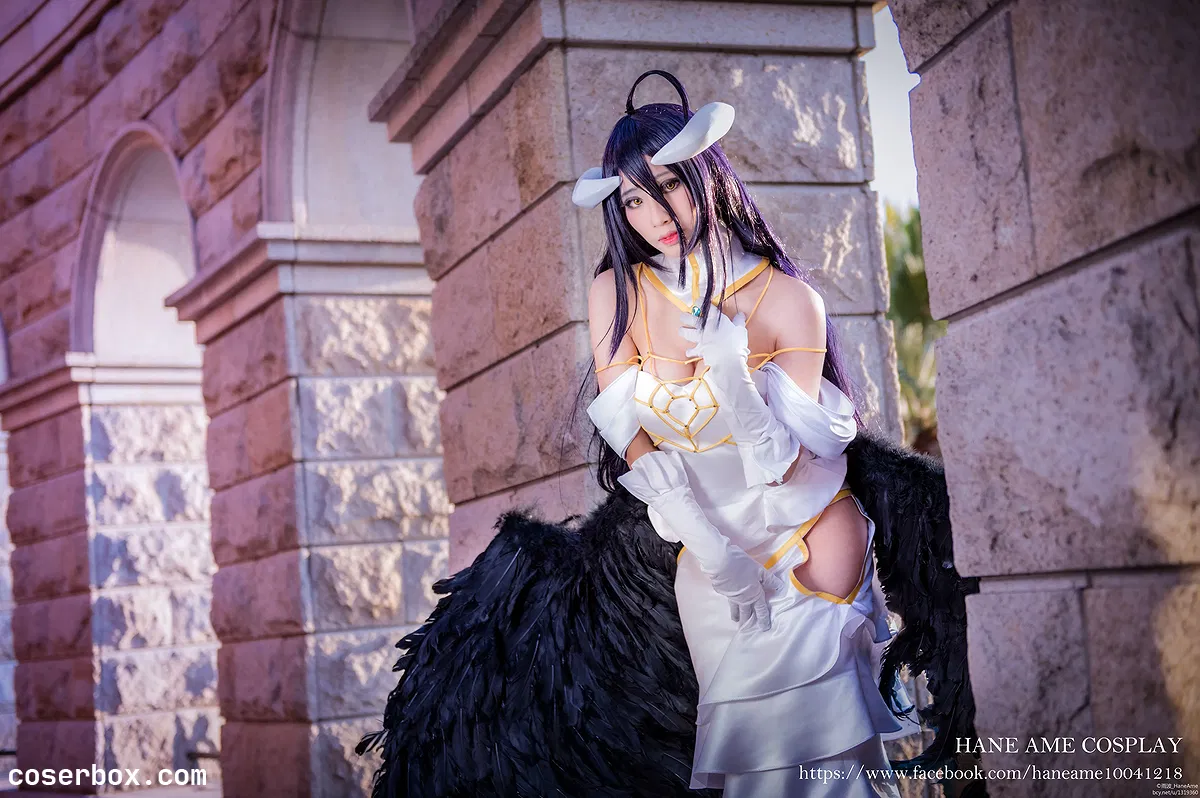 雨波 NO.052 Overlord Albedo [16P 15 - 2