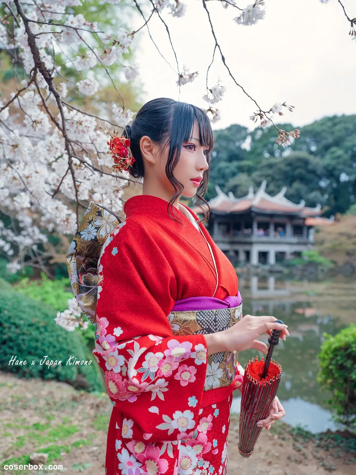 雨波 NO.046 Kimono [9P 5 - 1