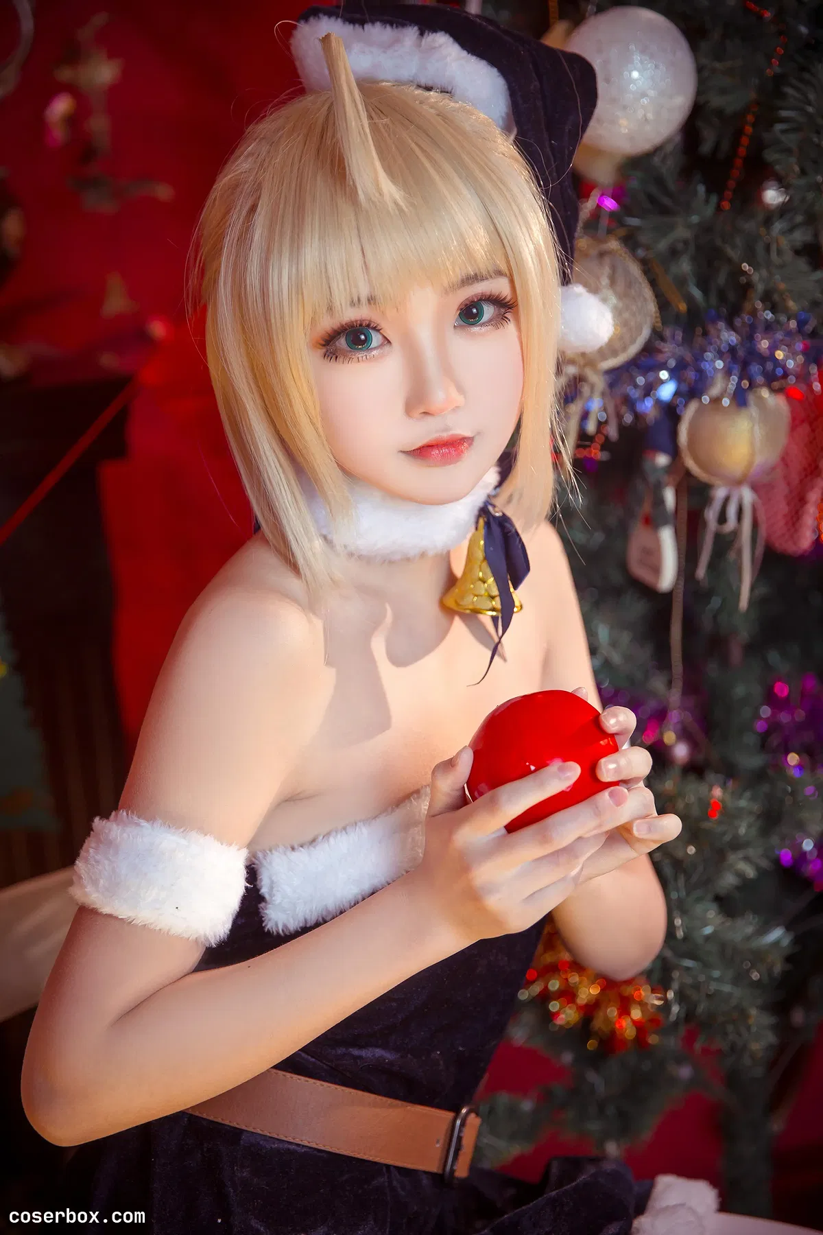 这个泡泡就是逊啦 NO.015 阿尔托莉雅_圣诞贺图 [16P 32 - 2