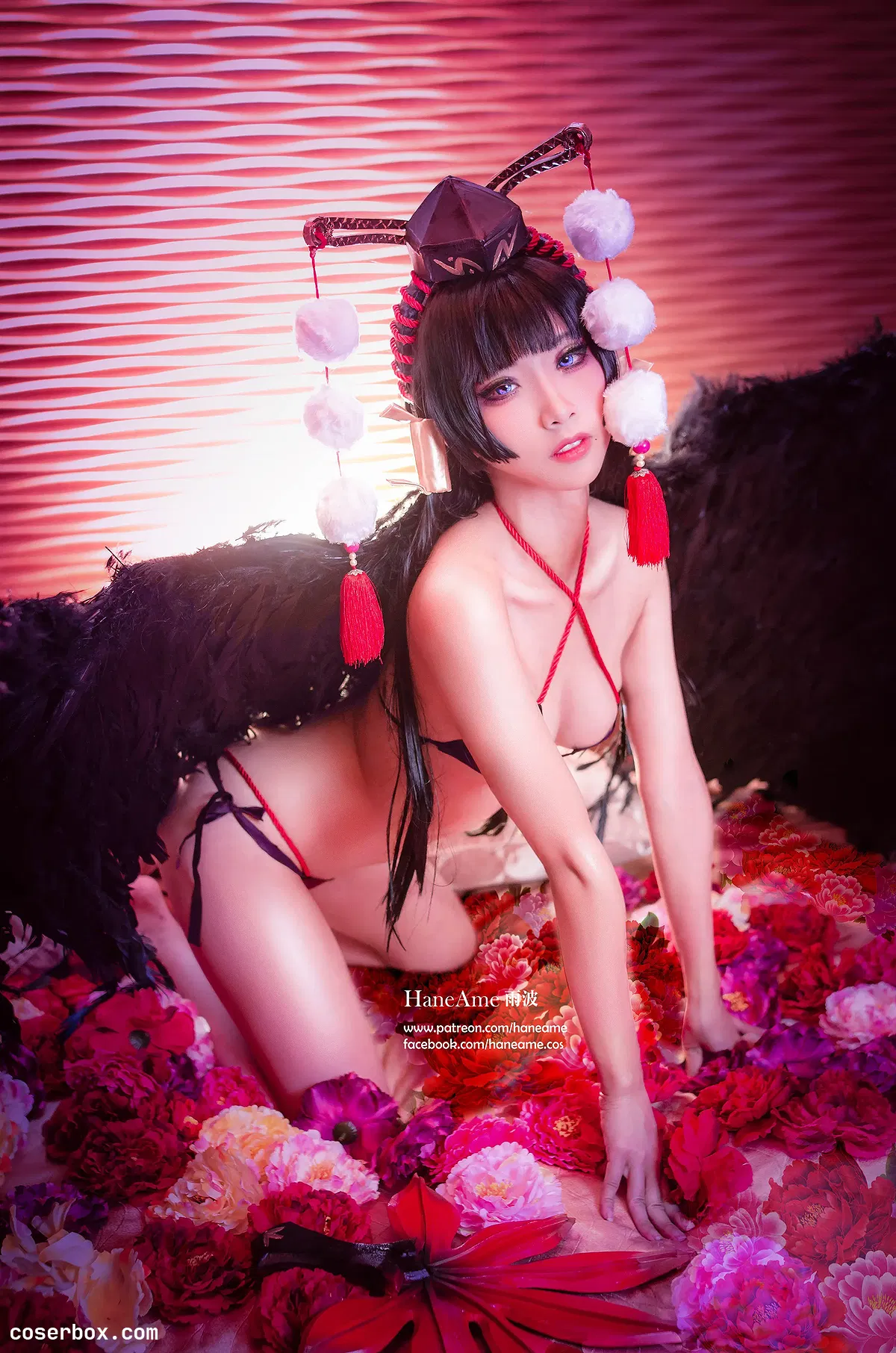 雨波 NO.005 Dead or alive [12P 10 - 1