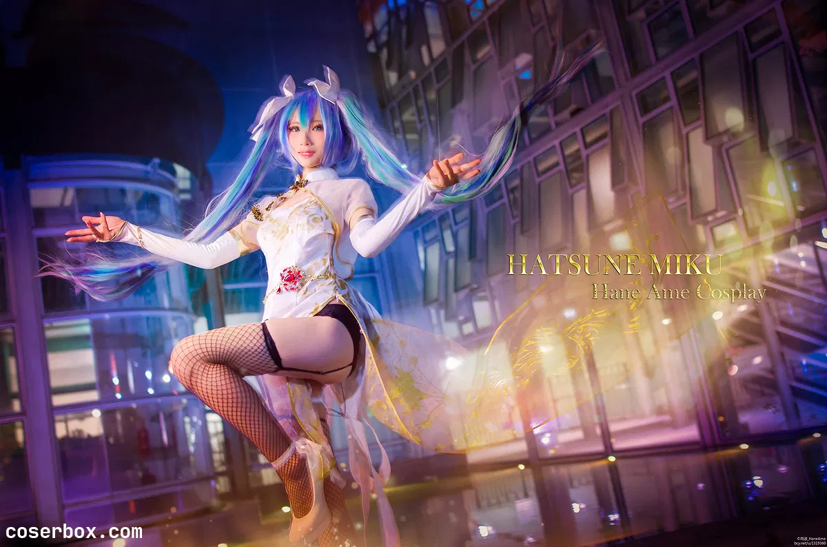 雨波 NO.069 VOCALOID 初音 [16P 24 - 2