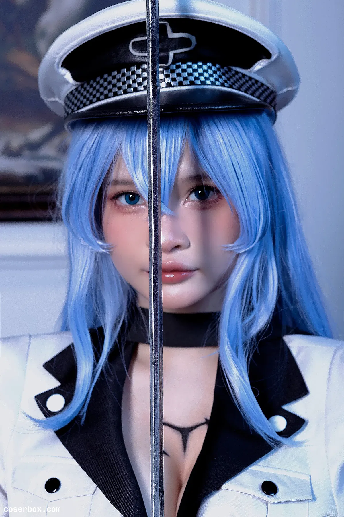 Azami NO.076 Esdeath [53P 348 - 2