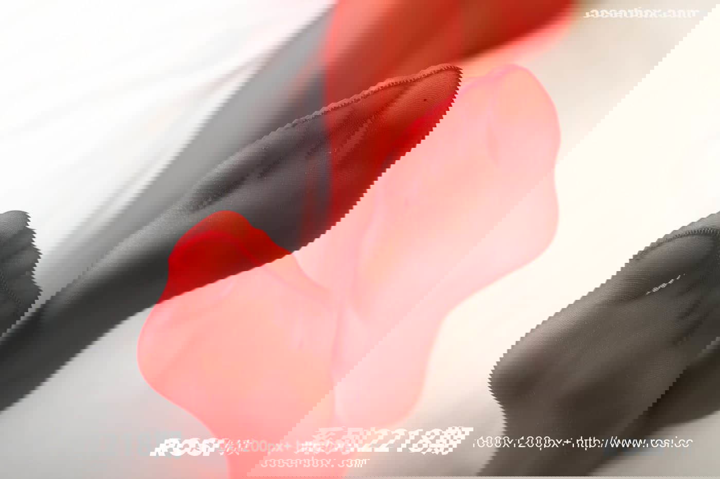 ROSI写真 NO.2218 [26P 10.37MB]