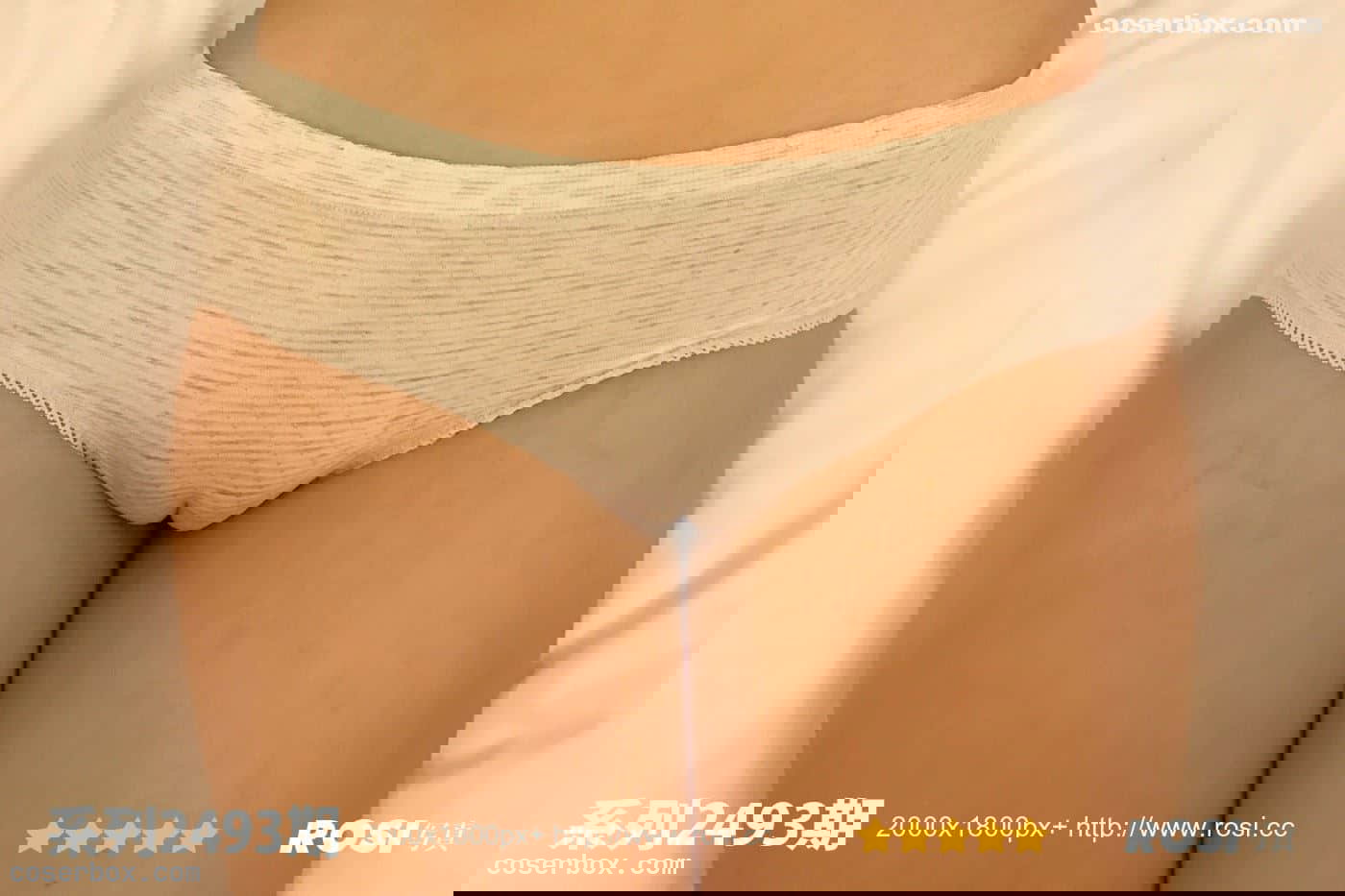 ROSI写真 NO.2493 [31P 49.02MB]