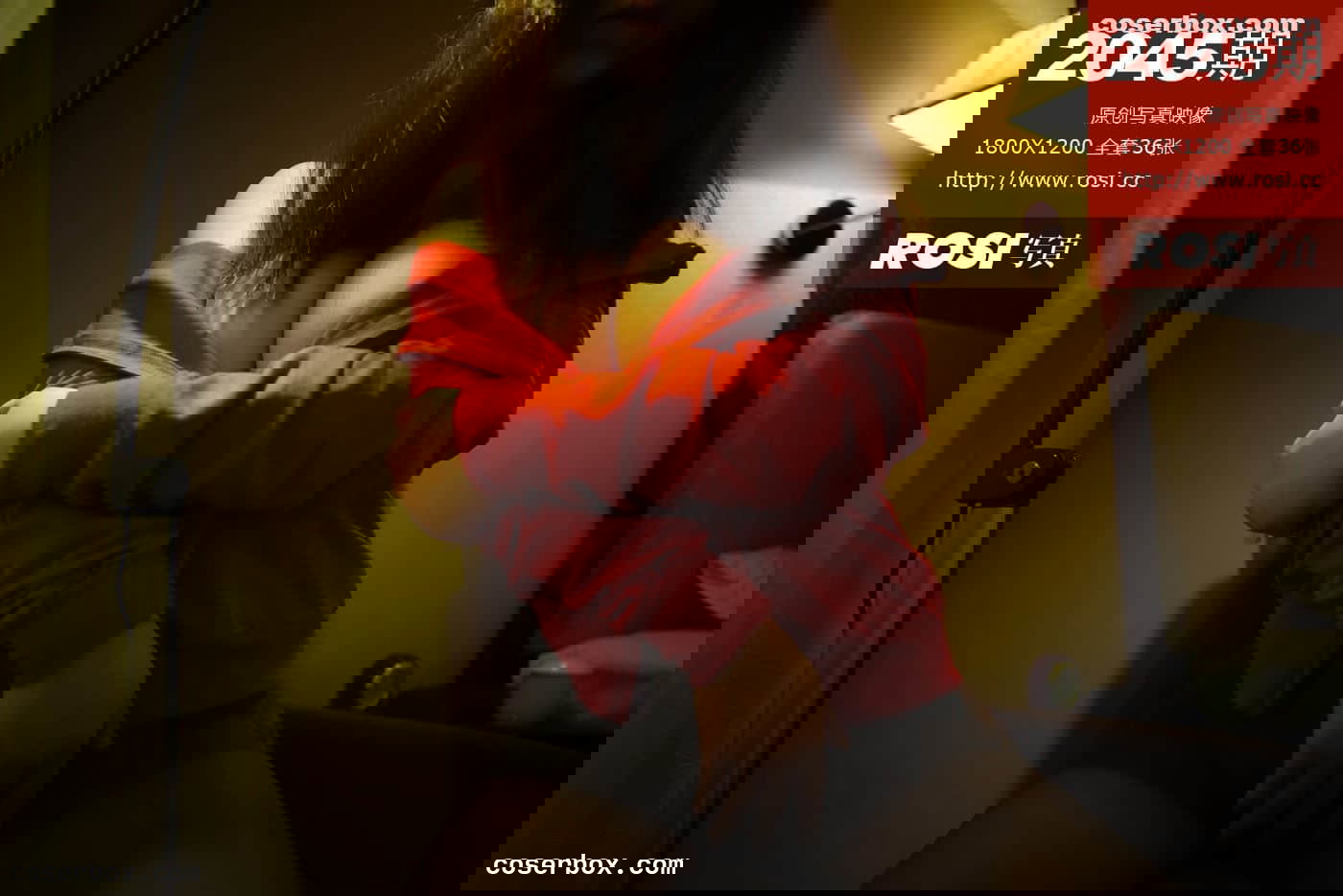 ROSI写真 NO.2045 [37P 16.32MB]