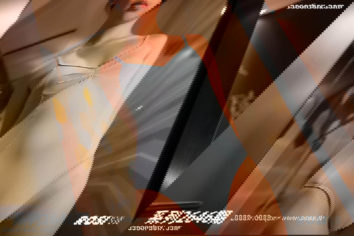 ROSI写真 NO.2646 [78P 55.22MB]