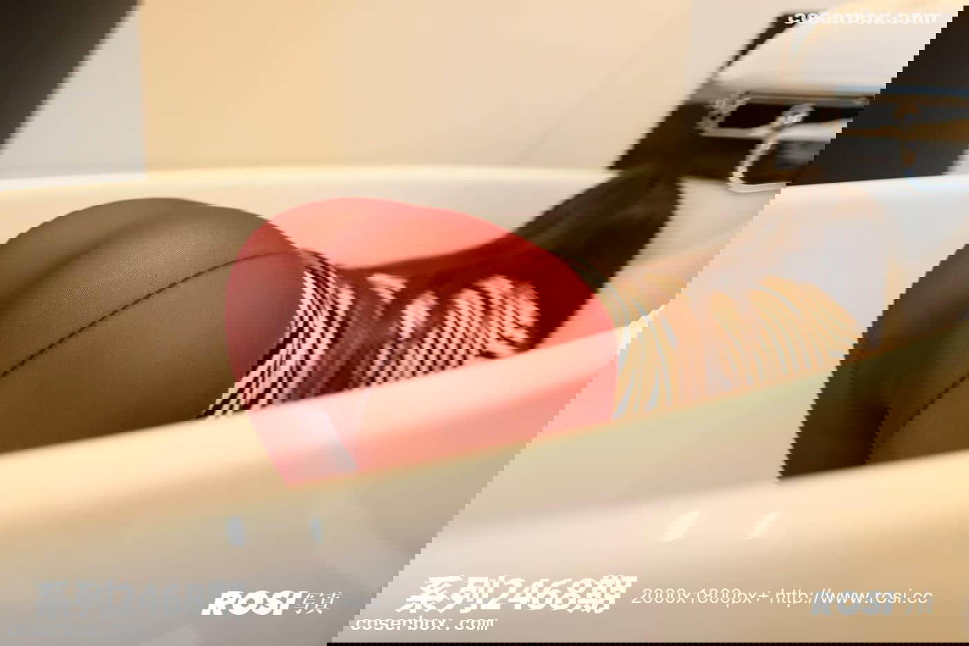 ROSI写真 NO.2468 [24P 22.17MB]