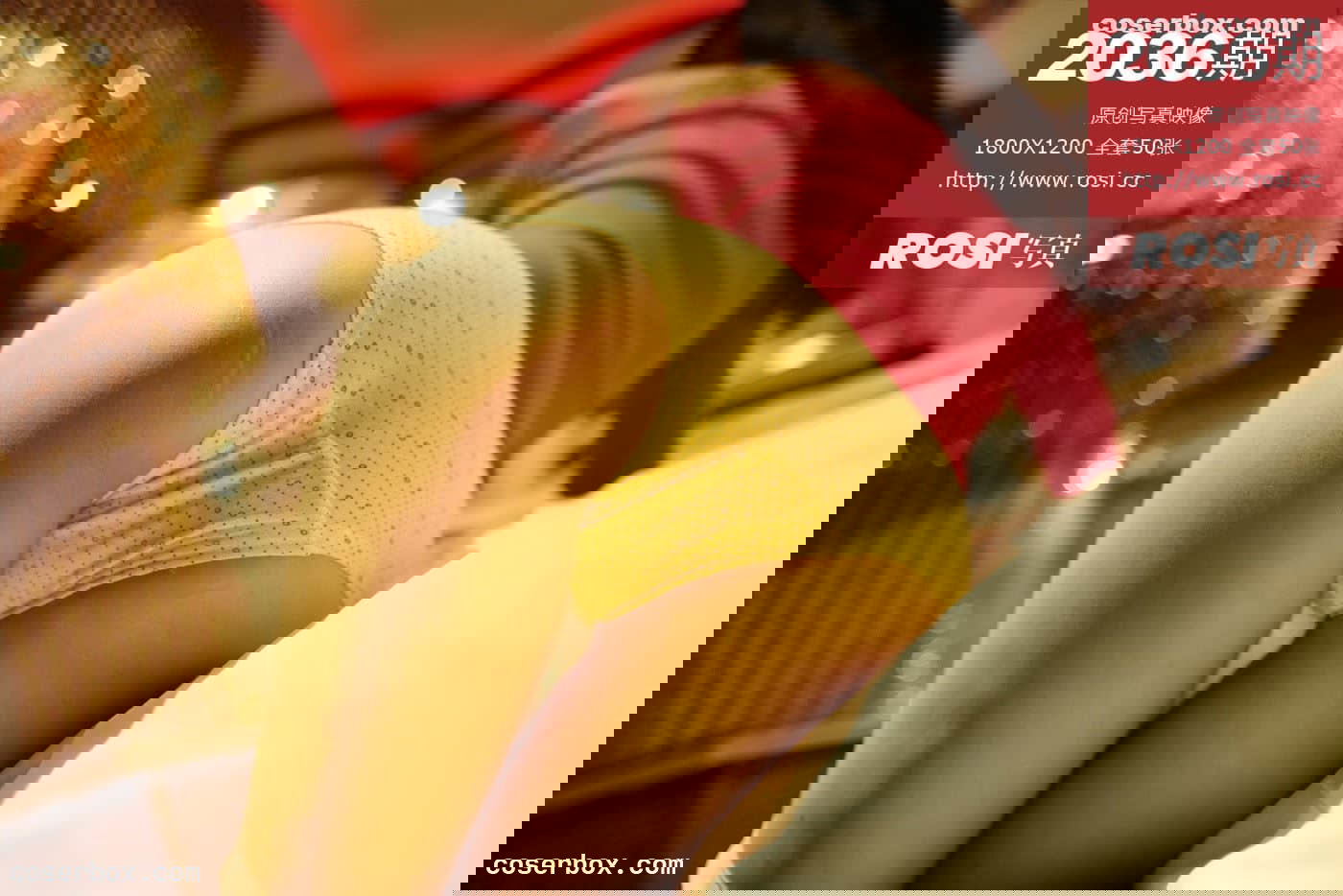 ROSI写真 NO.2036 [51P 31.64MB]