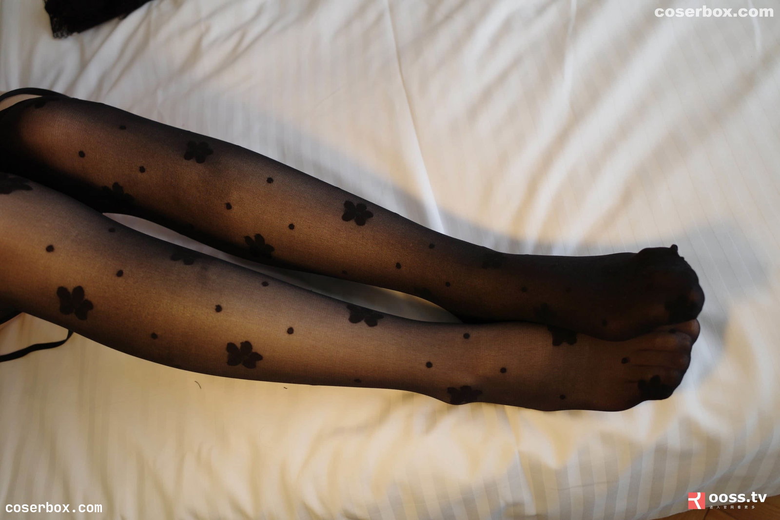 ROSI写真 NO.3002 [51P 35.09MB]