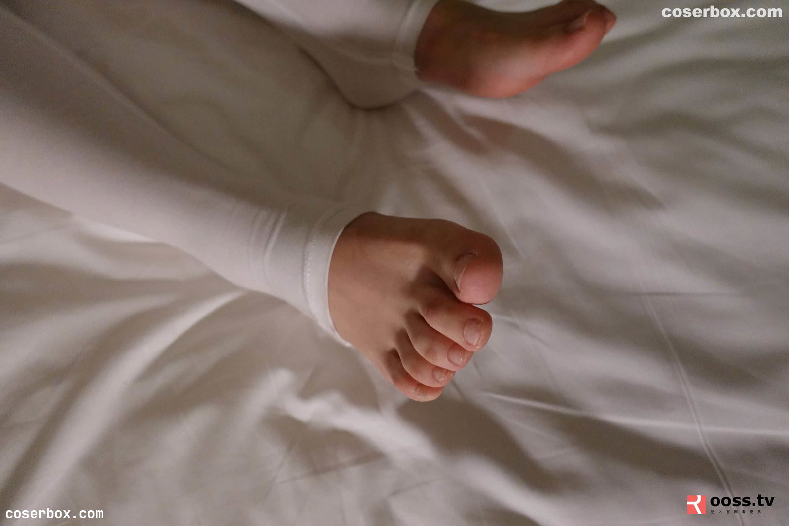 ROSI写真 NO.2864 [100P 101.6MB]