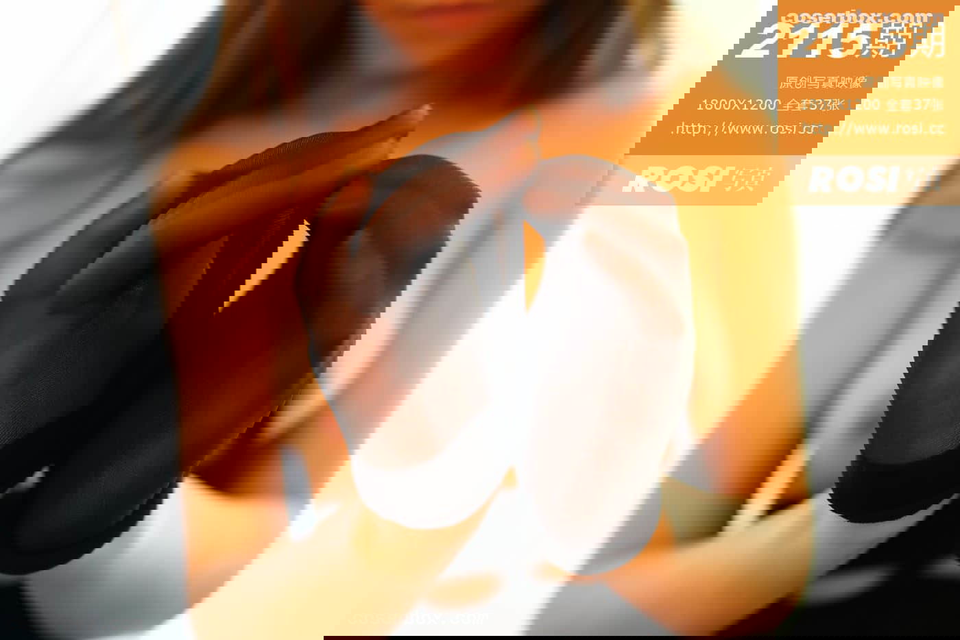 ROSI写真 NO.2115 [38P 15.38MB]