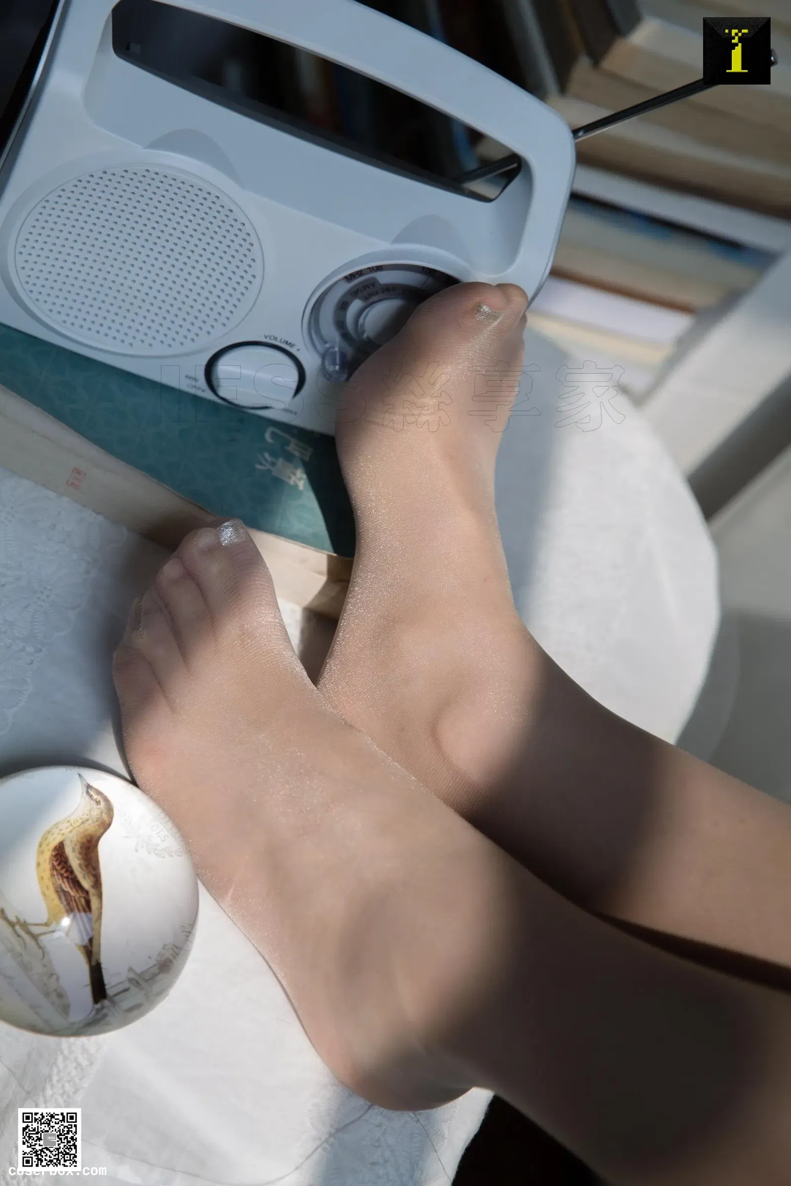 IESS异思趣向 2019.07.10 丝享家525：《光与影下的九妹》九妹[90P／31MB] [90P 30.49MB]