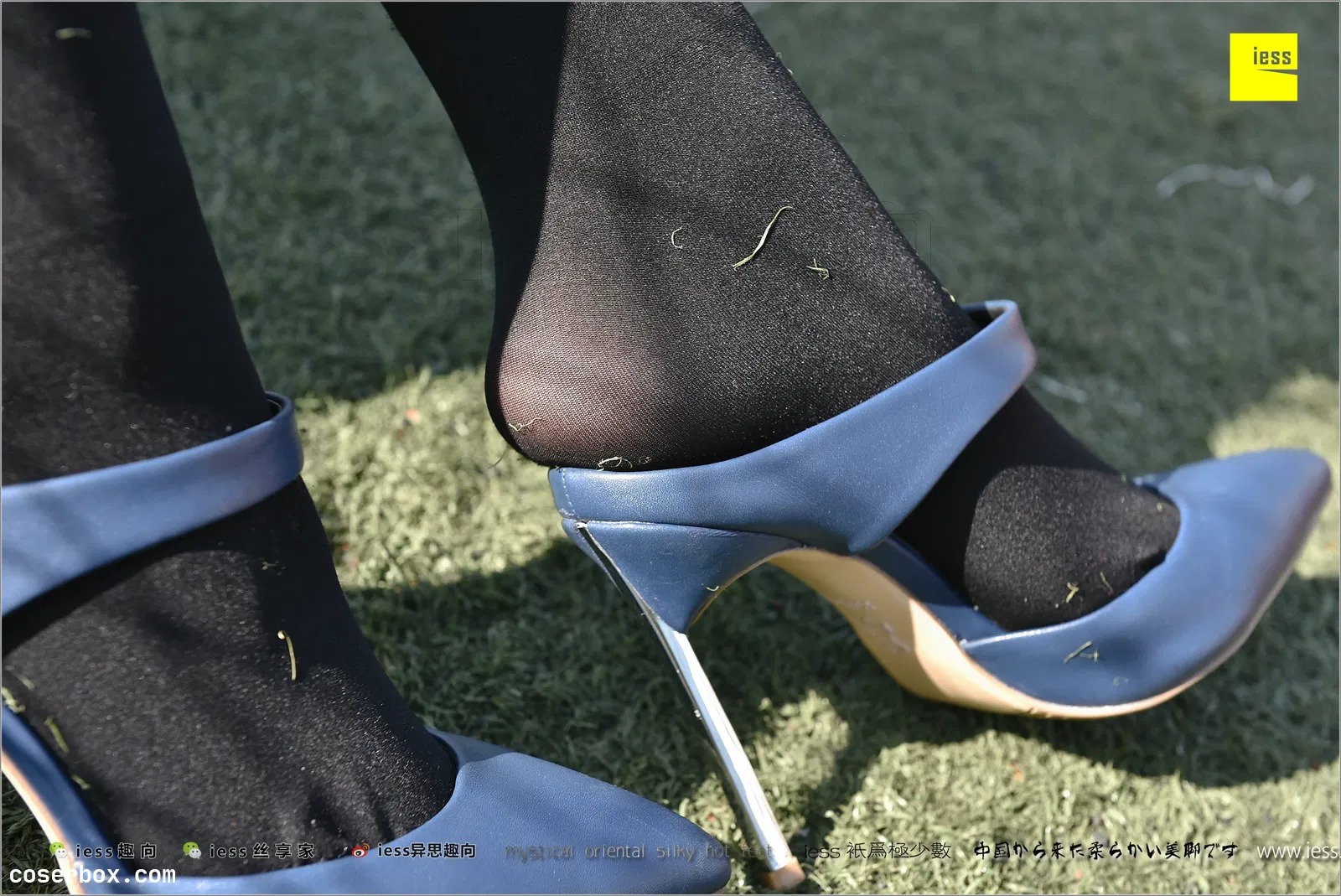 IESS异思趣向 2017.12.25 丝足便当182：静静《厚黑丝的“透肉”诱惑》 [99P 218.55MB]