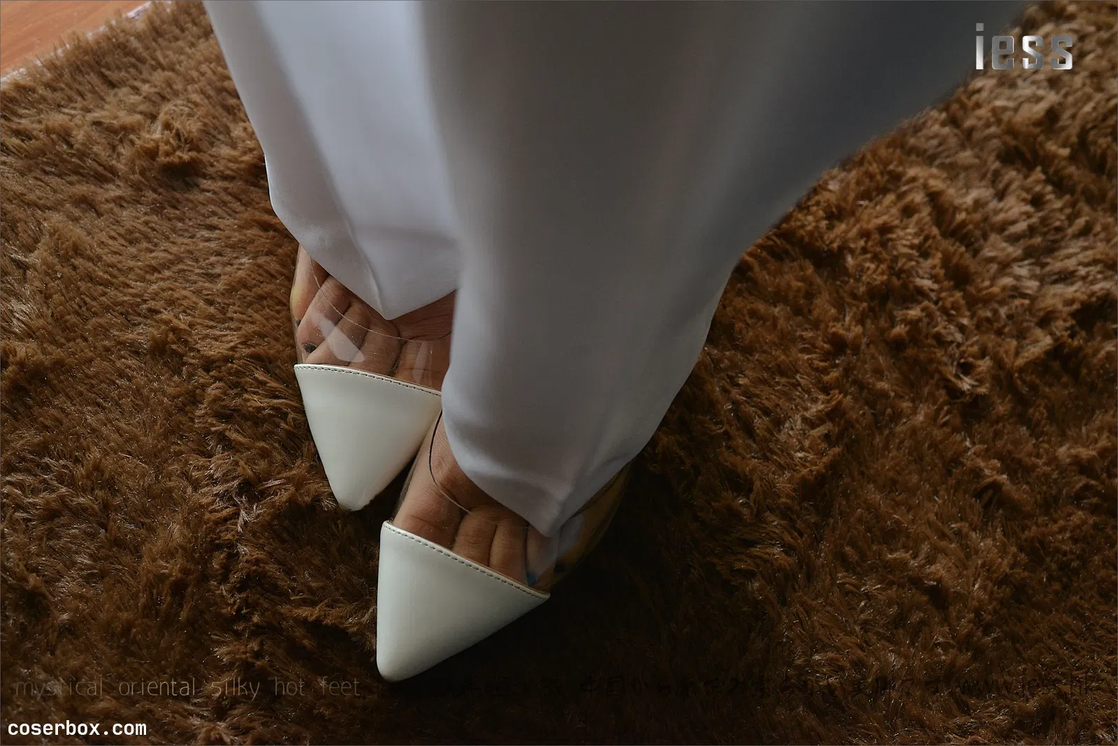 IESS异思趣向 2017.01.18 丝足便当058：《典藏-裸足高跟鞋》悬念 [99P 120.64MB]