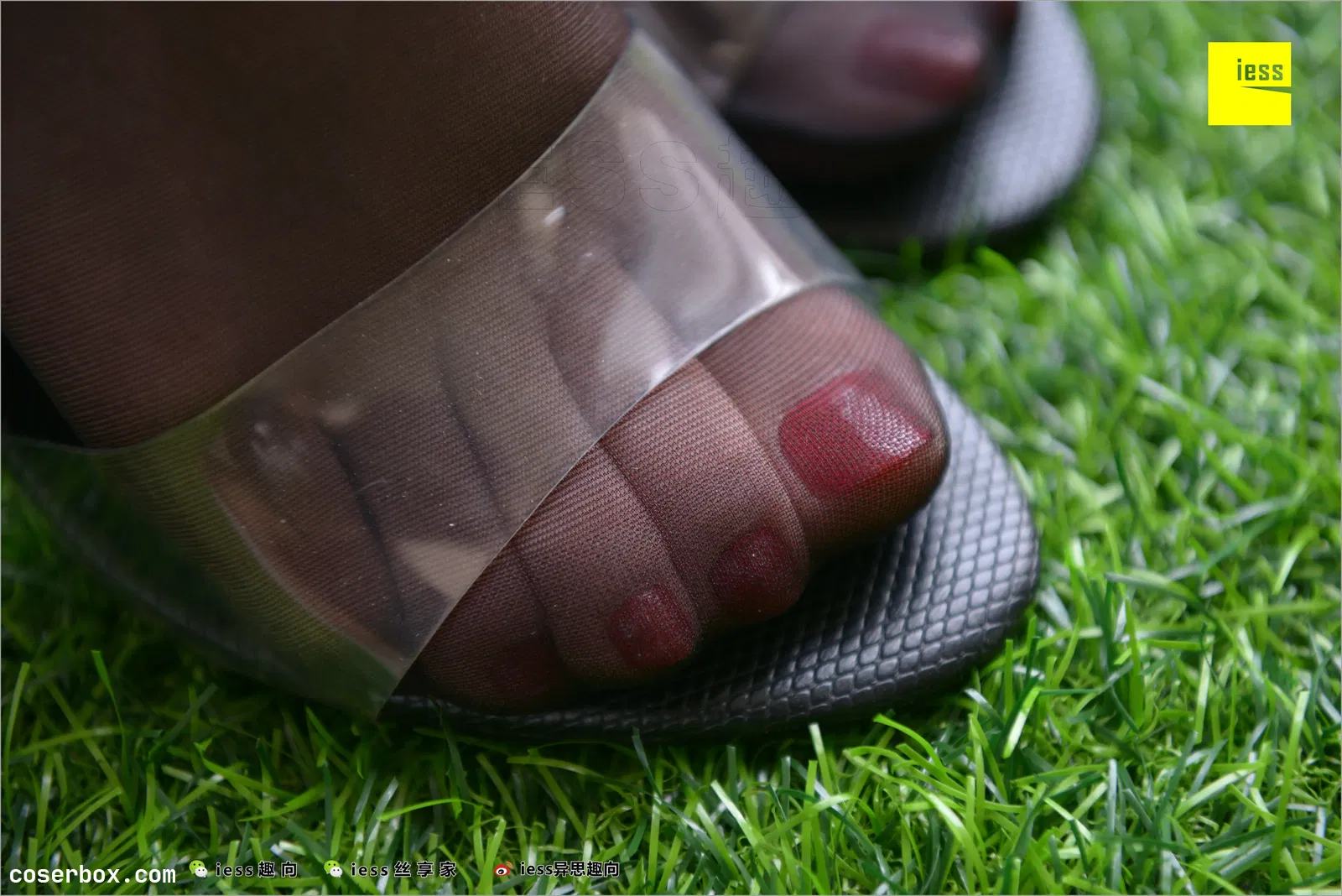 IESS异思趣向 2018.06.25 丝足便当244：《名利姐的黑丝大特写》名利姐 [98P142MB] [98P 142.72MB]