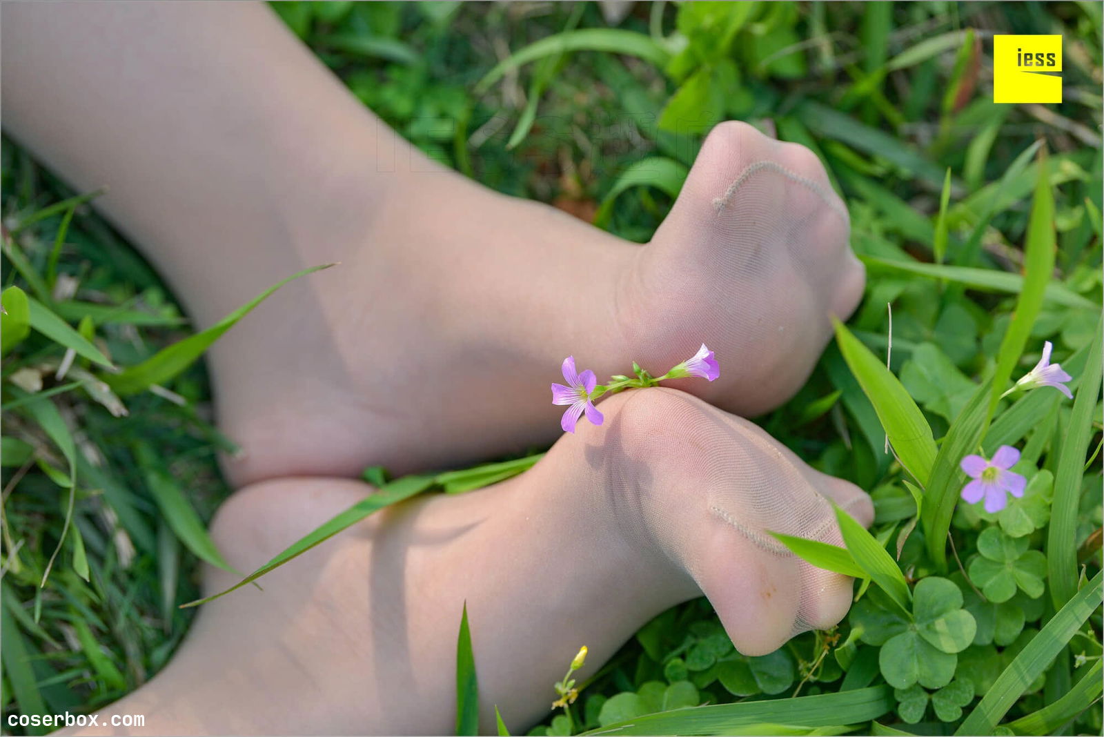 IESS异思趣向 2018.09.03 MF.004 馨月 [81P 57.05MB]