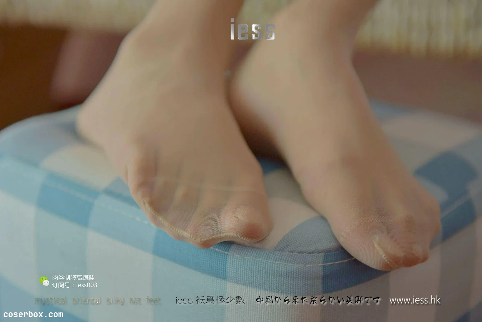 IESS异思趣向 2017.05.14 丝享家005：婉萍 《肉色长（蚕）丝》 [30P 29.35MB]