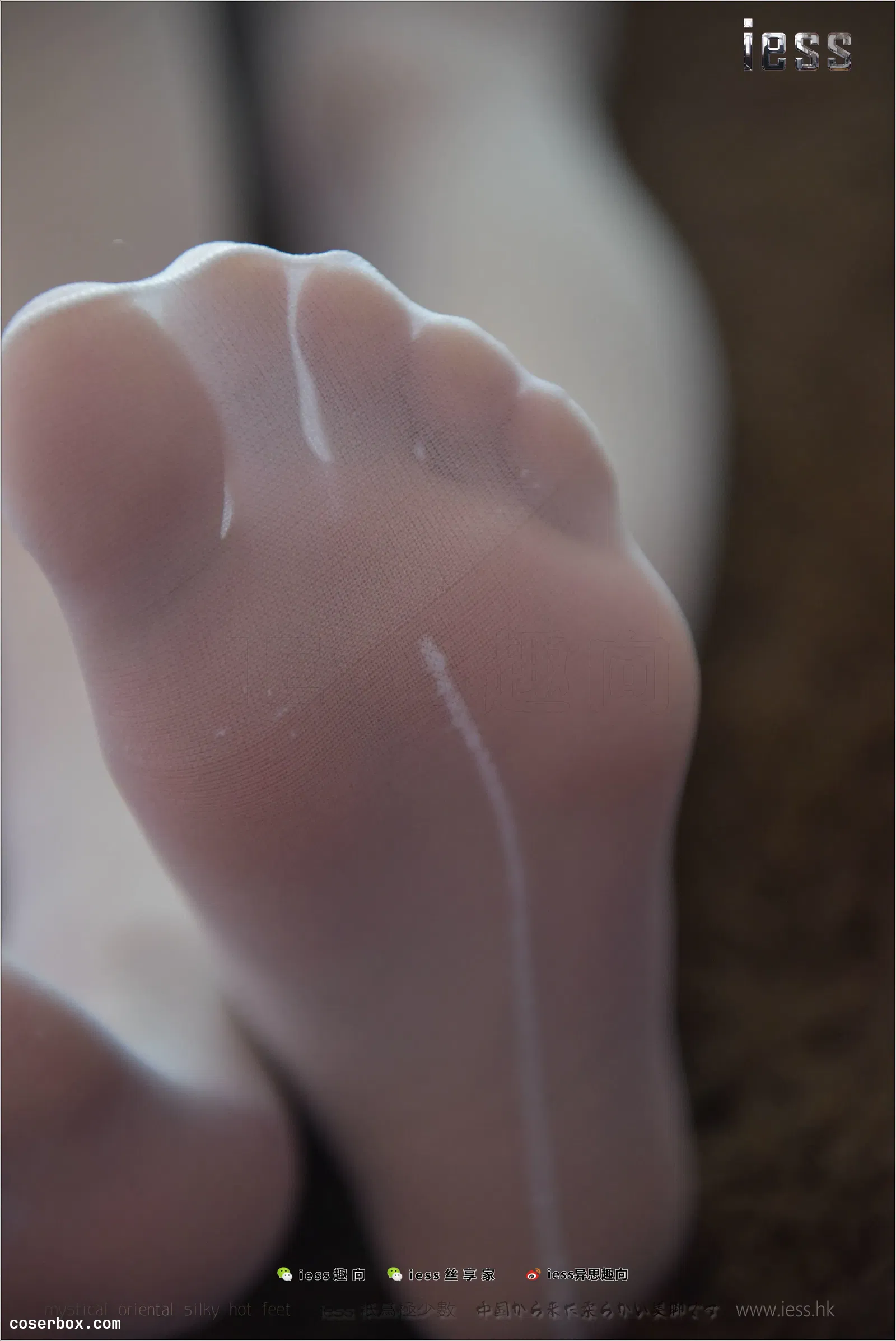 IESS异思趣向 2017.10.11 丝足便当159：小六《白银耳》 [99P 110.76MB]