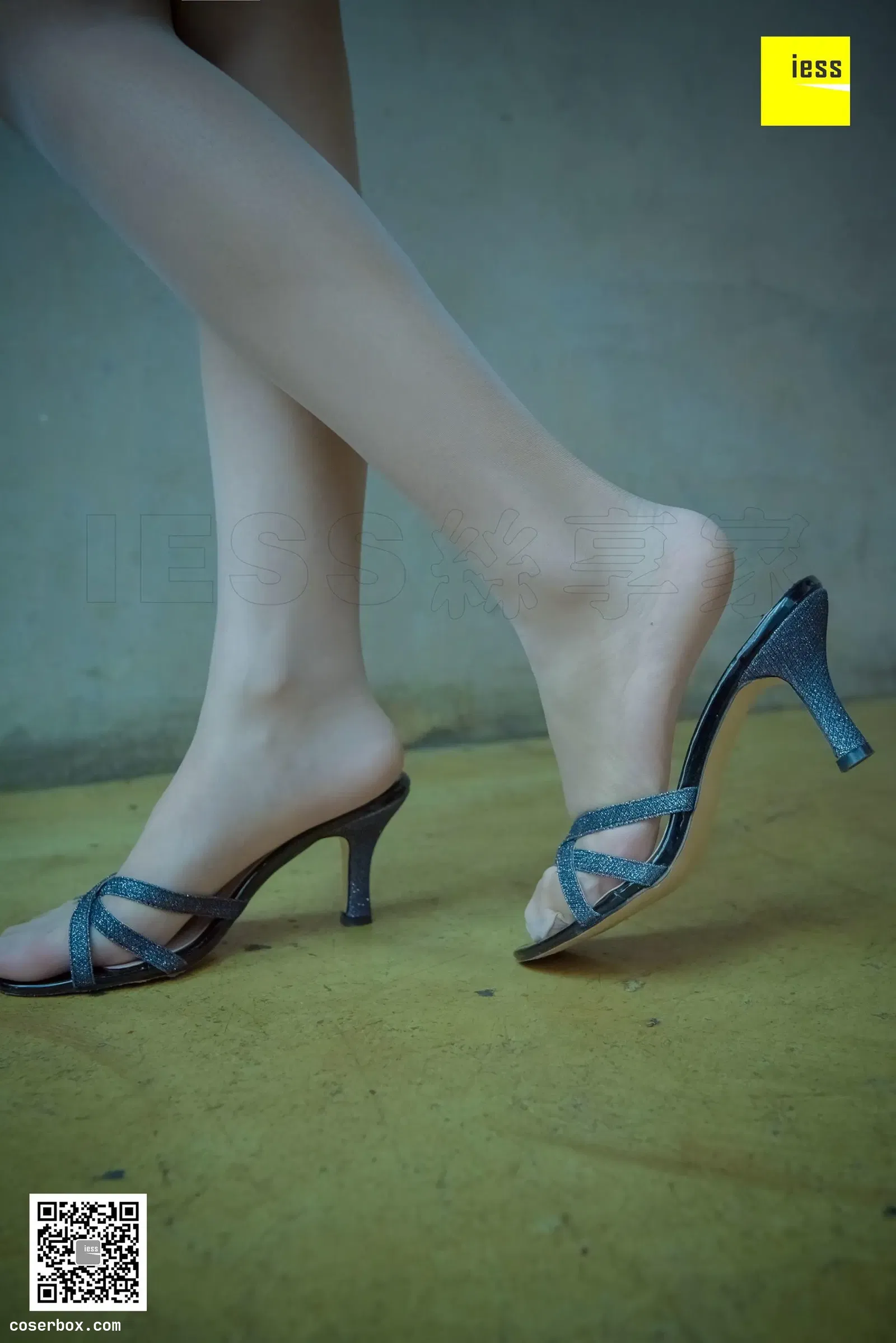 IESS异思趣向 2018.02.09 丝享家166：《风情万种肉丝凉拖》木木 [99P-32.3M] [99P 33.14MB]