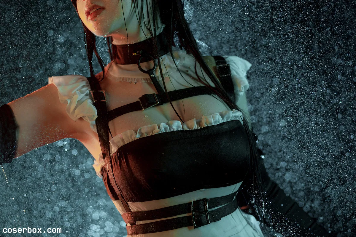 Sayafox NO.031 Zenith Maid [10P 107.51MB] - 2