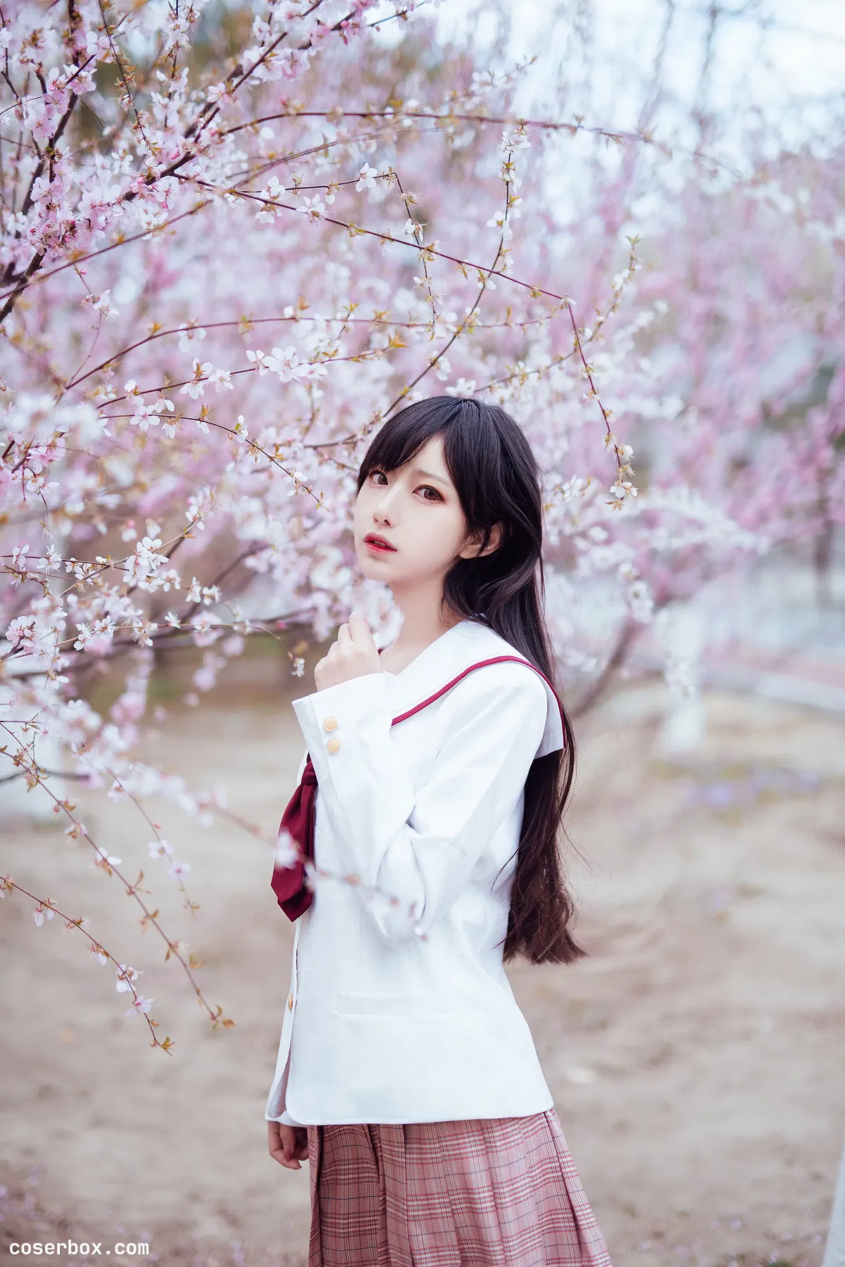 Shika小鹿鹿 NO.041 樱花 [13P 91.75MB] - 1