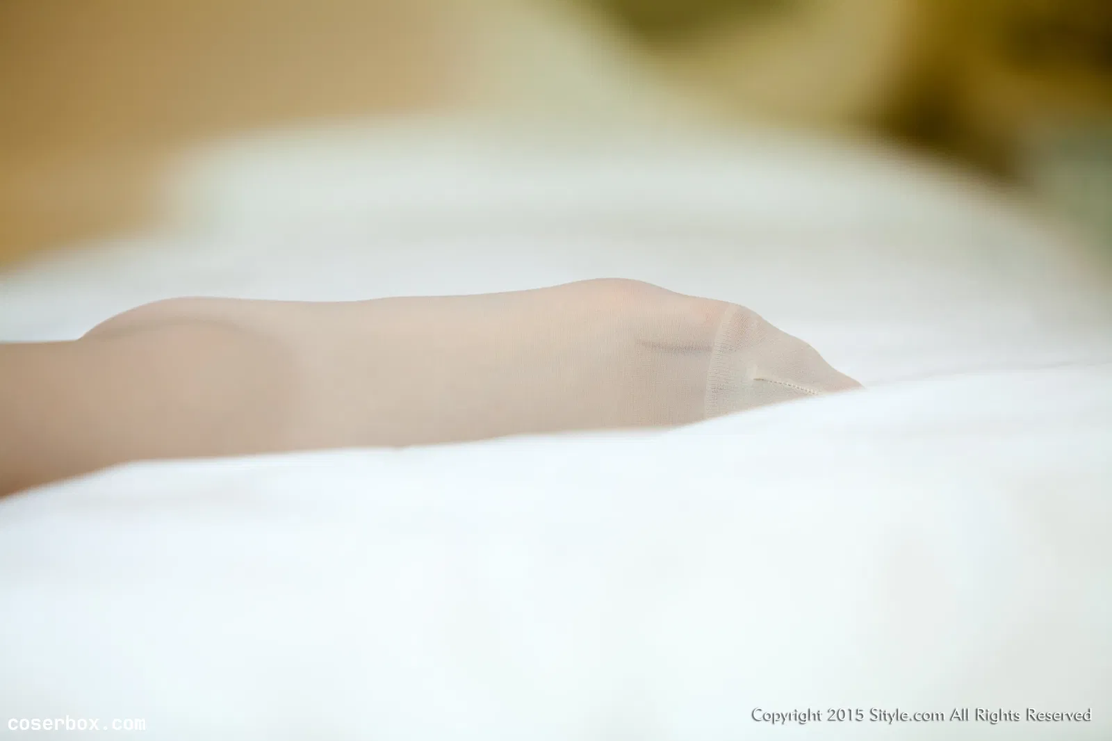 丝尚Sityle 2015.02.08 NO.256 [30P 60.29MB]