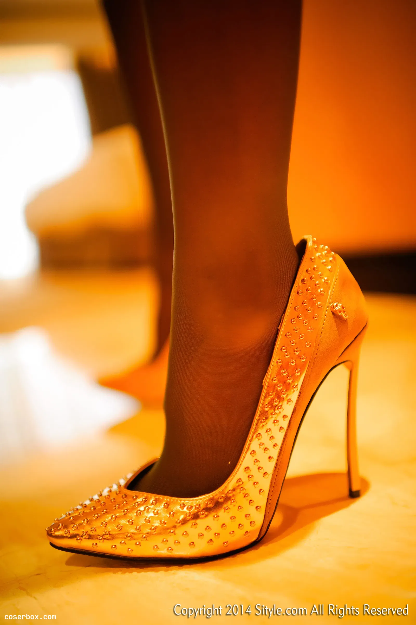 丝尚Sityle 2014.11.05 NO.230 [42P 78.24MB]