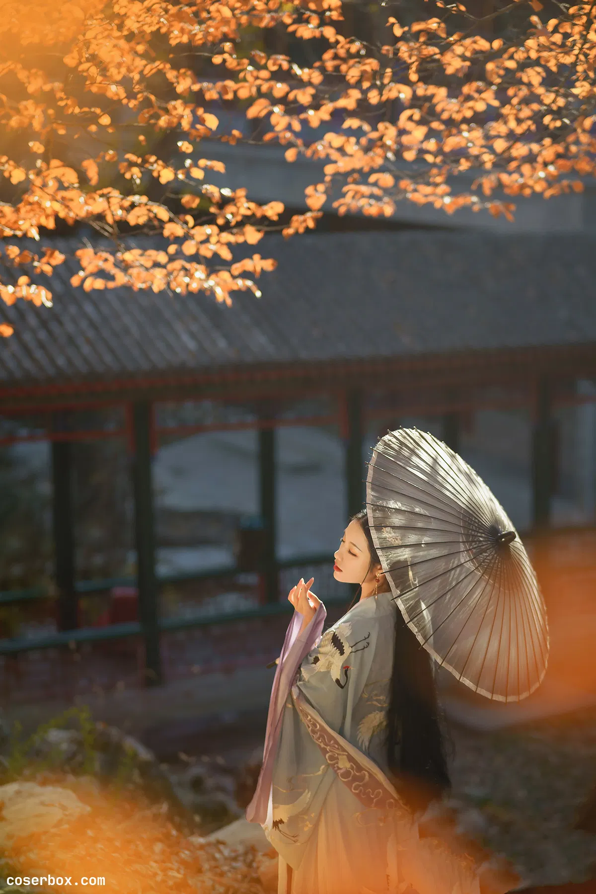 九疑 NO.008 秋游·其二 [11P 159.24MB] [11P 159.24MB] - 1