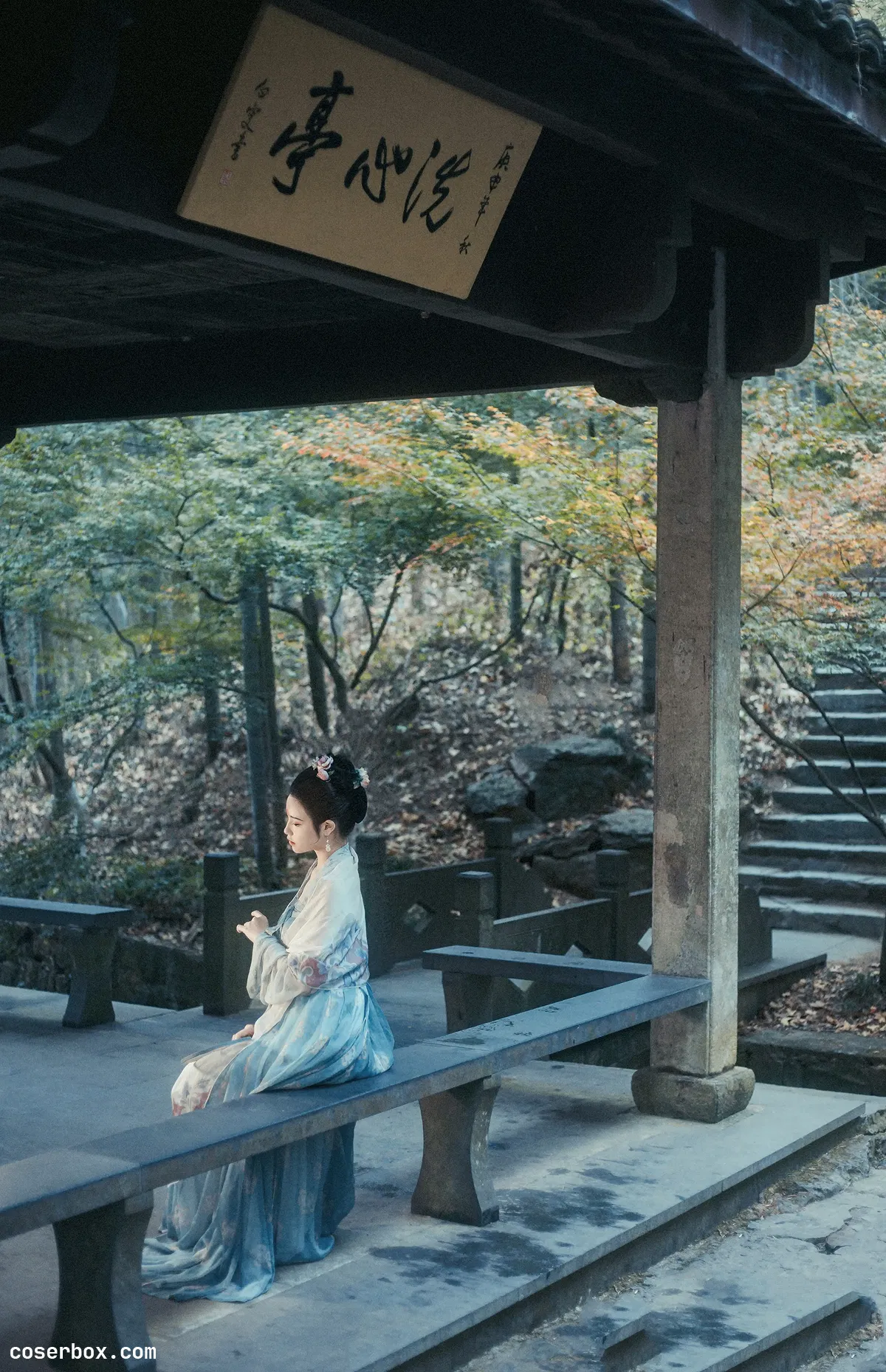 九疑 NO.006 非关癖爱轻模样，冷处偏佳 [13P 147.13MB] [13P 147.13MB] - 1