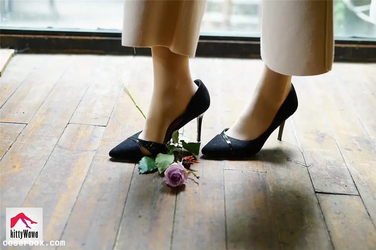 袜小喵 NO.022 女王和喵 [99P 21.5MB]