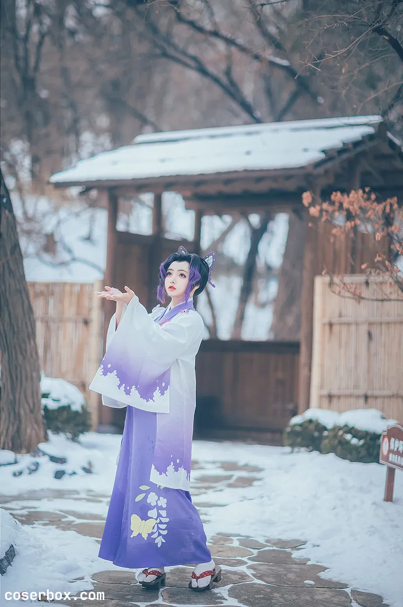 斯文文文文 NO.073 鬼灭之刃COS2019 COSER总结蝴蝶忍 [24P 16.21MB]