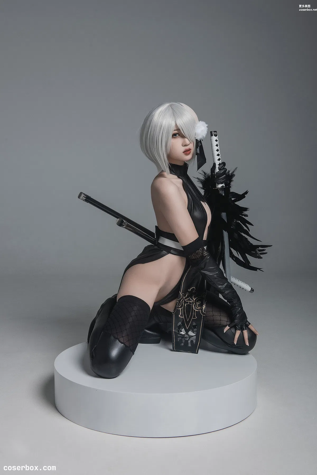 瓦斯塔亚小龙虾 NO.011 2号B型 忍者 [42P 541.52MB] - 2