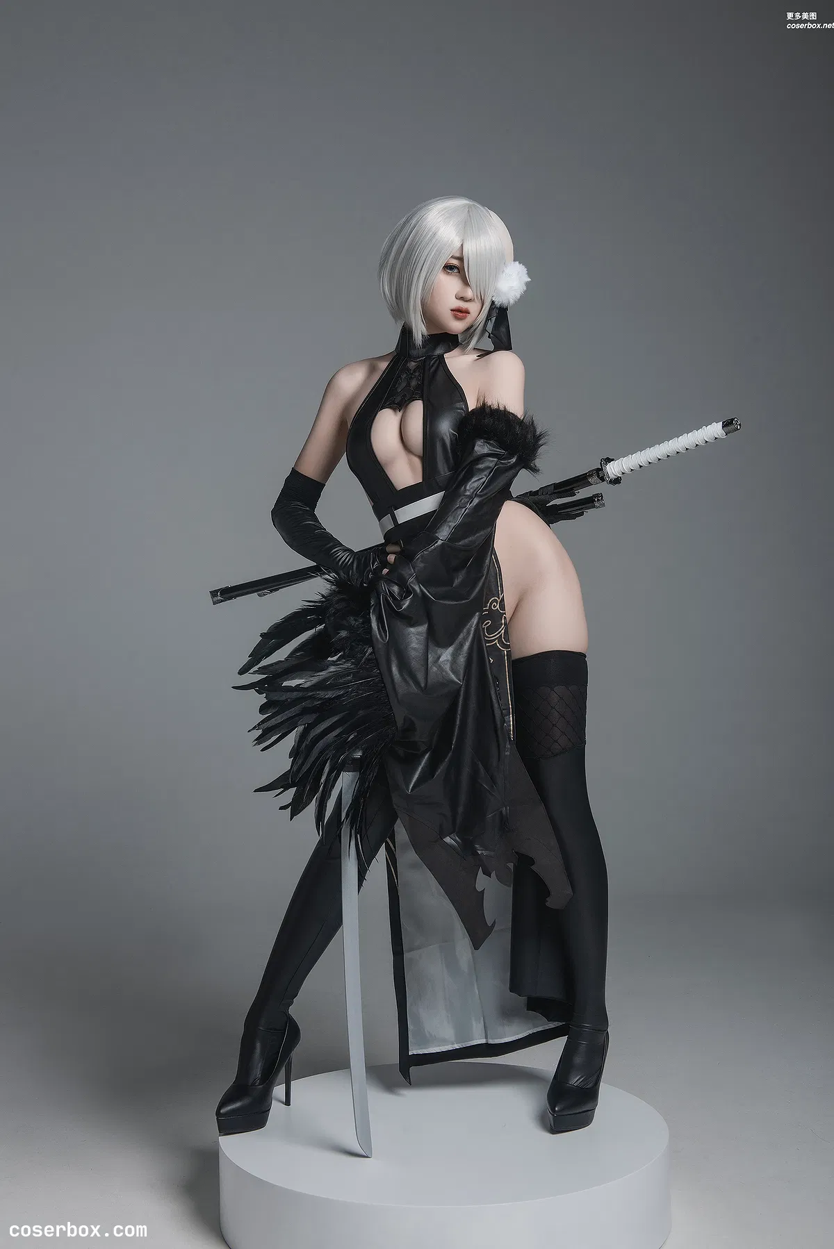 瓦斯塔亚小龙虾 NO.011 2号B型 忍者 [42P 541.52MB] - 1