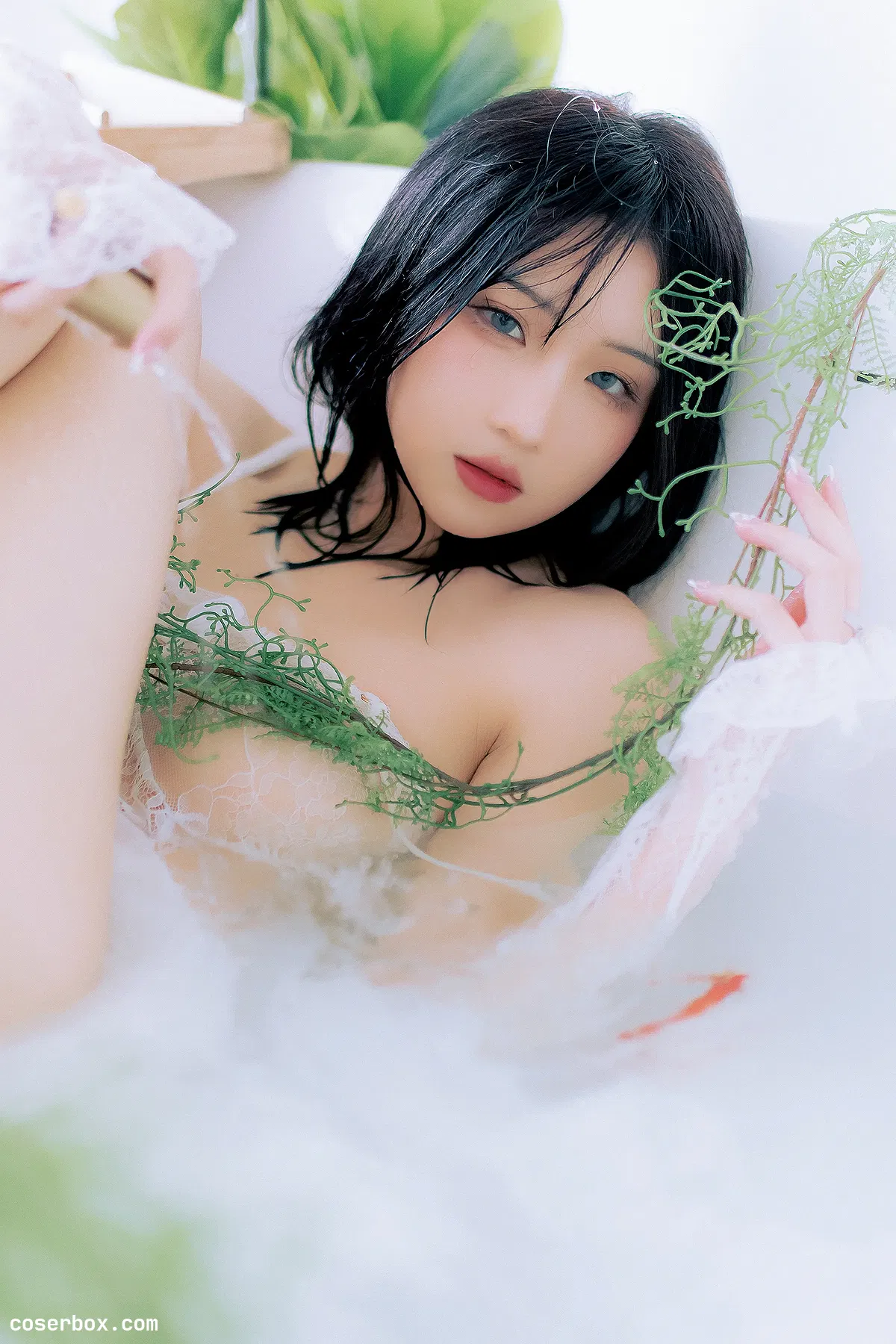 瓦斯塔亚小龙虾 NO.005 鲸 [23P 419.84MB] - 2