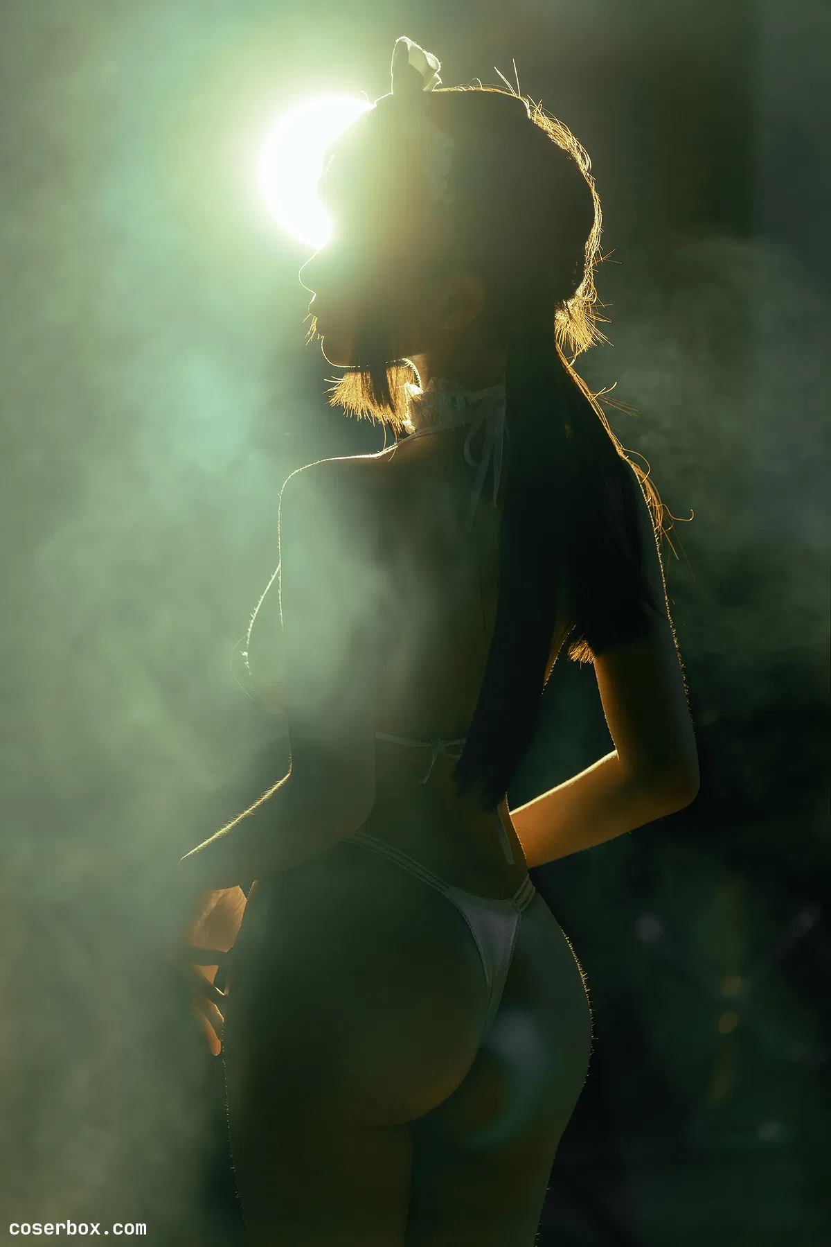 蠢沫沫 NO.237 女仆 - 2