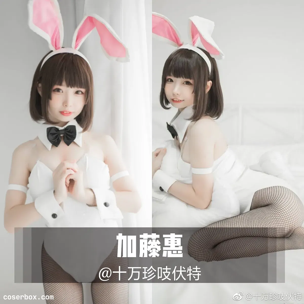 十万珍吱伏特 NO.020 加藤惠 兔女郎写真 [23P 56.34MB] - 1