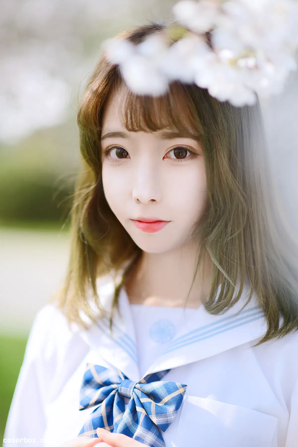 Fushii_海堂 NO.009 樱花树下 [41P 266.62MB] - 1