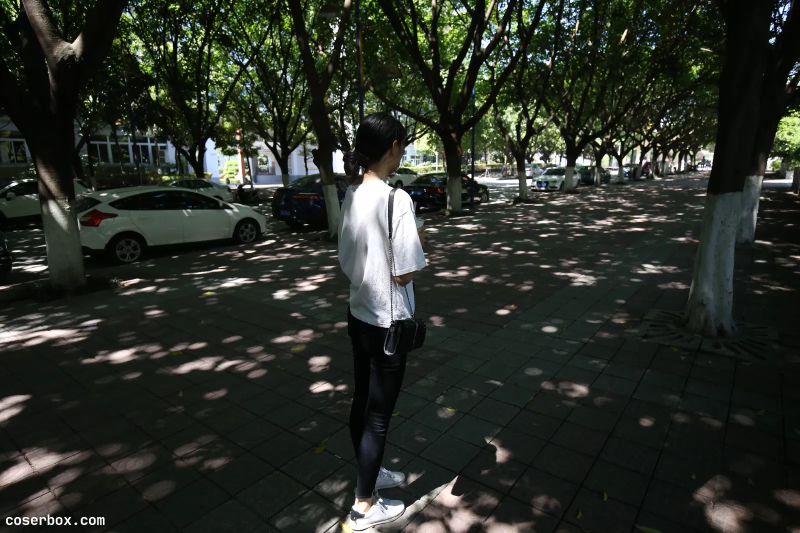 大西瓜爱牙膏 2019.1月活动模特二船wa [186P 1V 1.54GB]