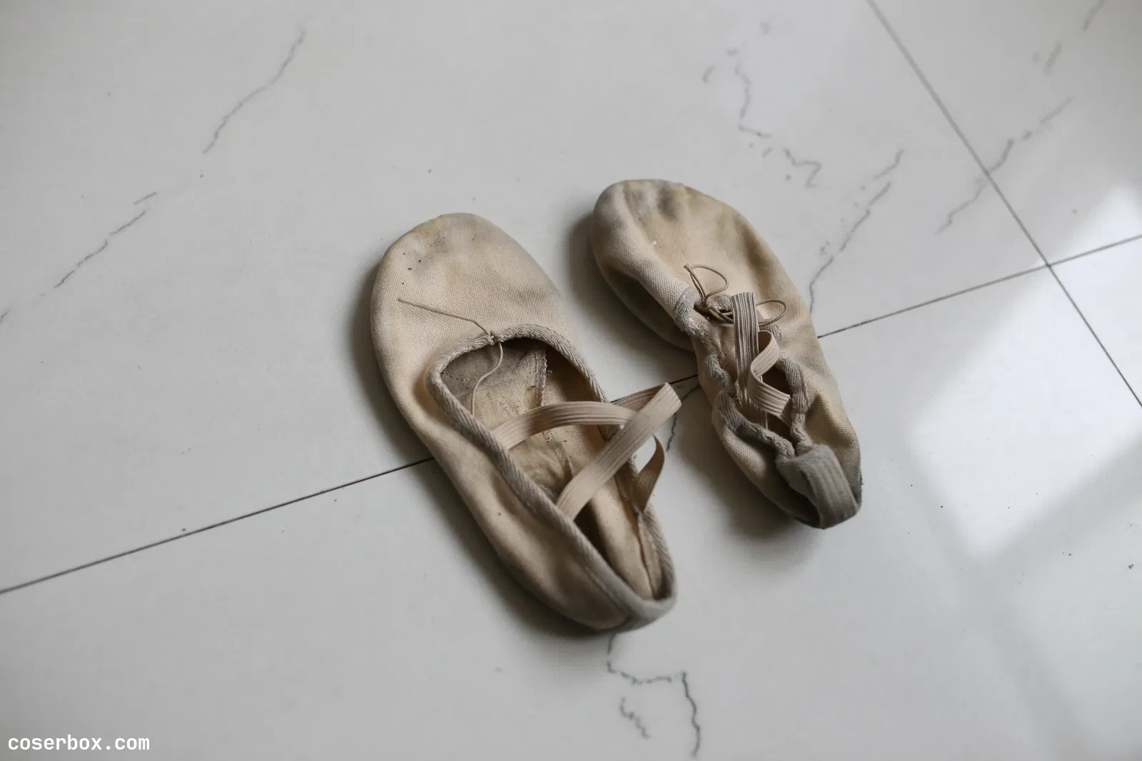 大西瓜爱牙膏 W016 舞蹈家6-红衣三姐妹 [220P 1.06GB]