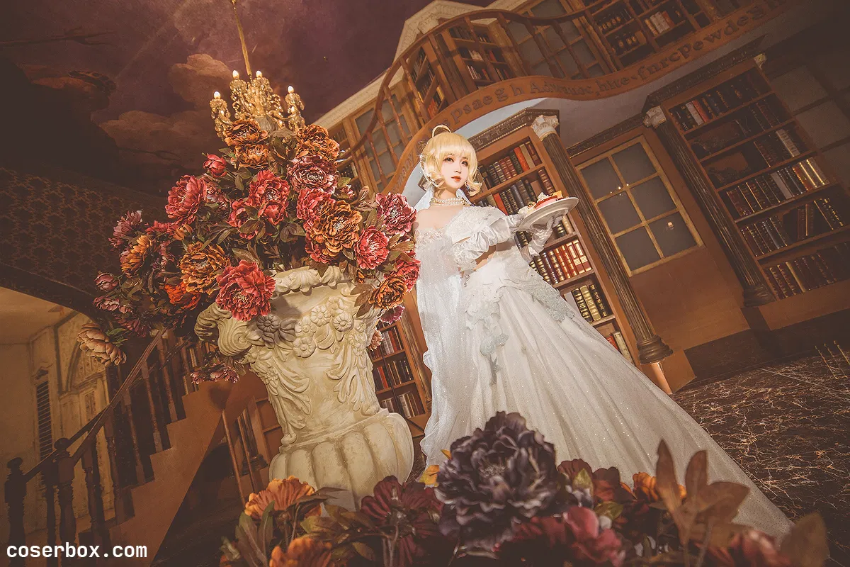 渊秧 NO.005 fgo-阿瓦隆庆典cos [11P 154.52MB] - 1