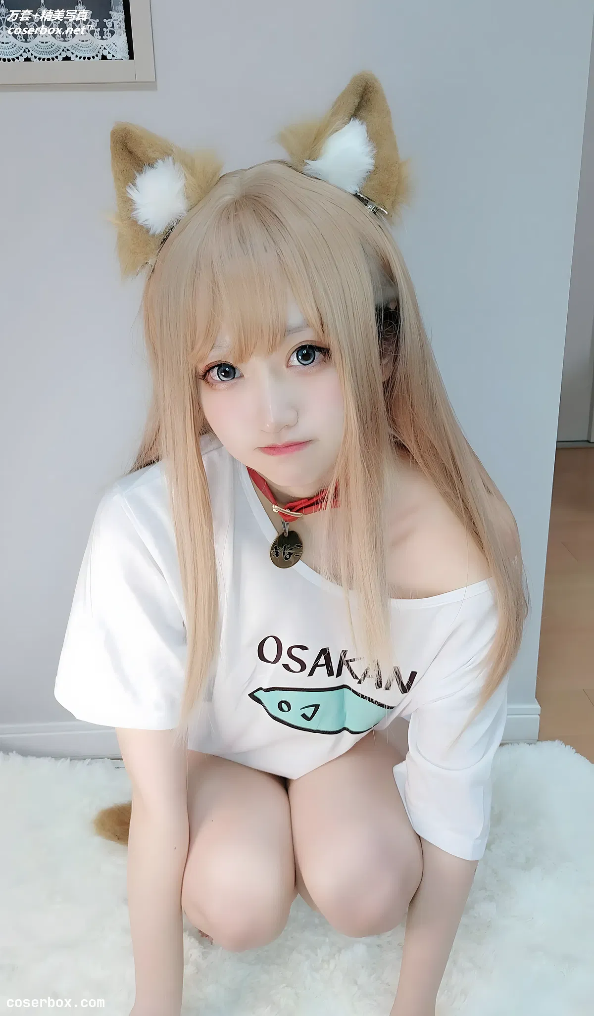 千阳(ちよ) NO.001 40原设猫猫 [14P 123.09MB] - 1